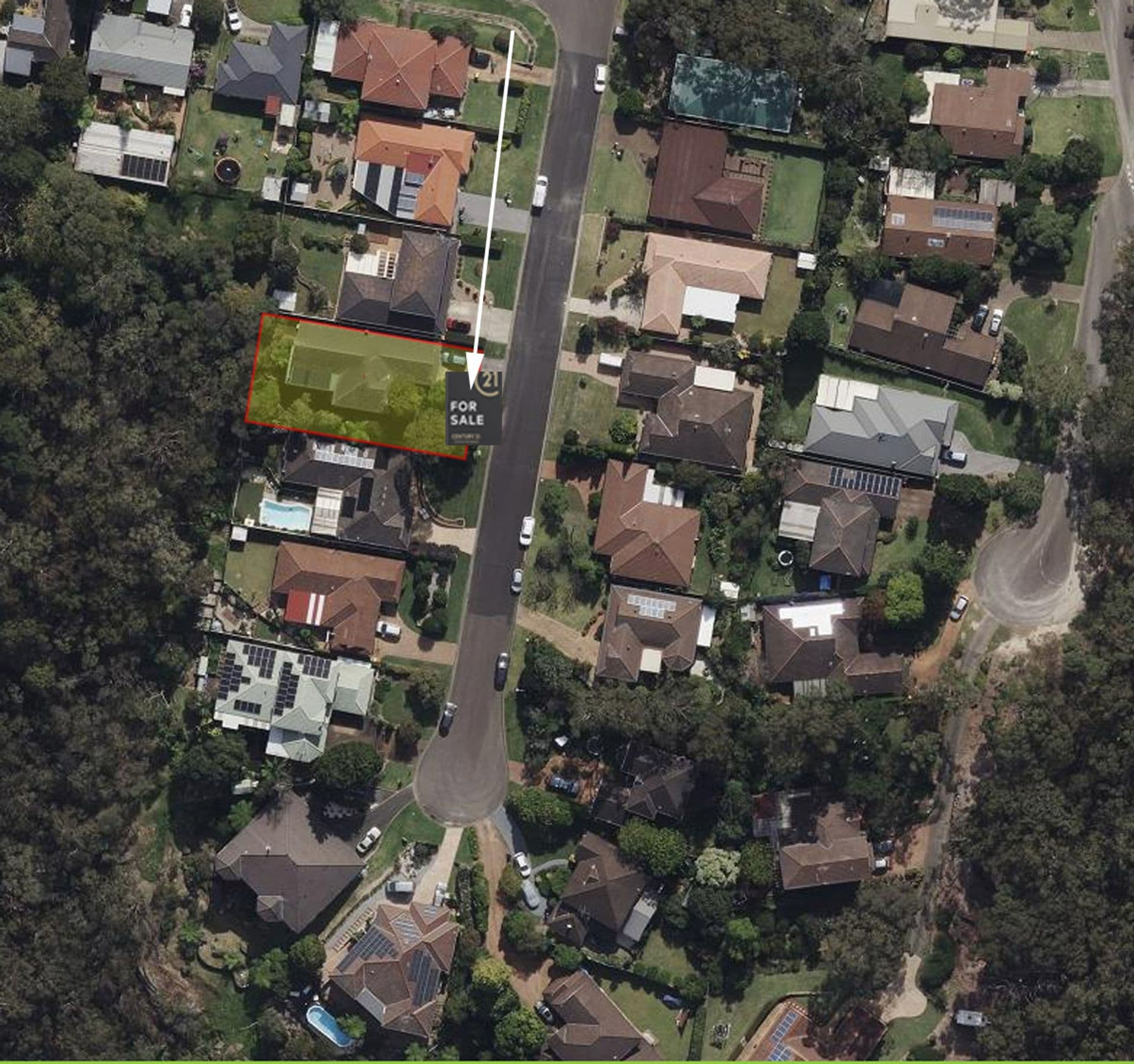 41 Gazania Street, Faulconbridge, NSW, 2776, Faulconbridge - Thumbnail 2
