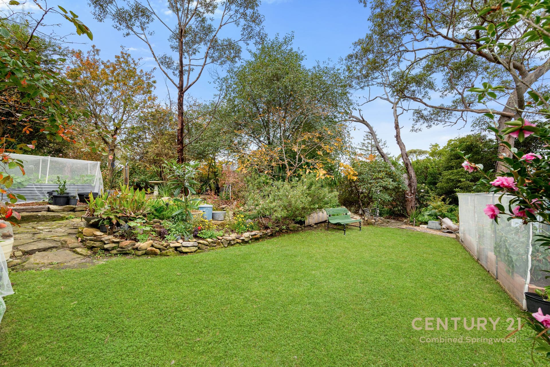 26 Shirlow Avenue, Faulconbridge, NSW, 2776, Faulconbridge - Thumbnail 8