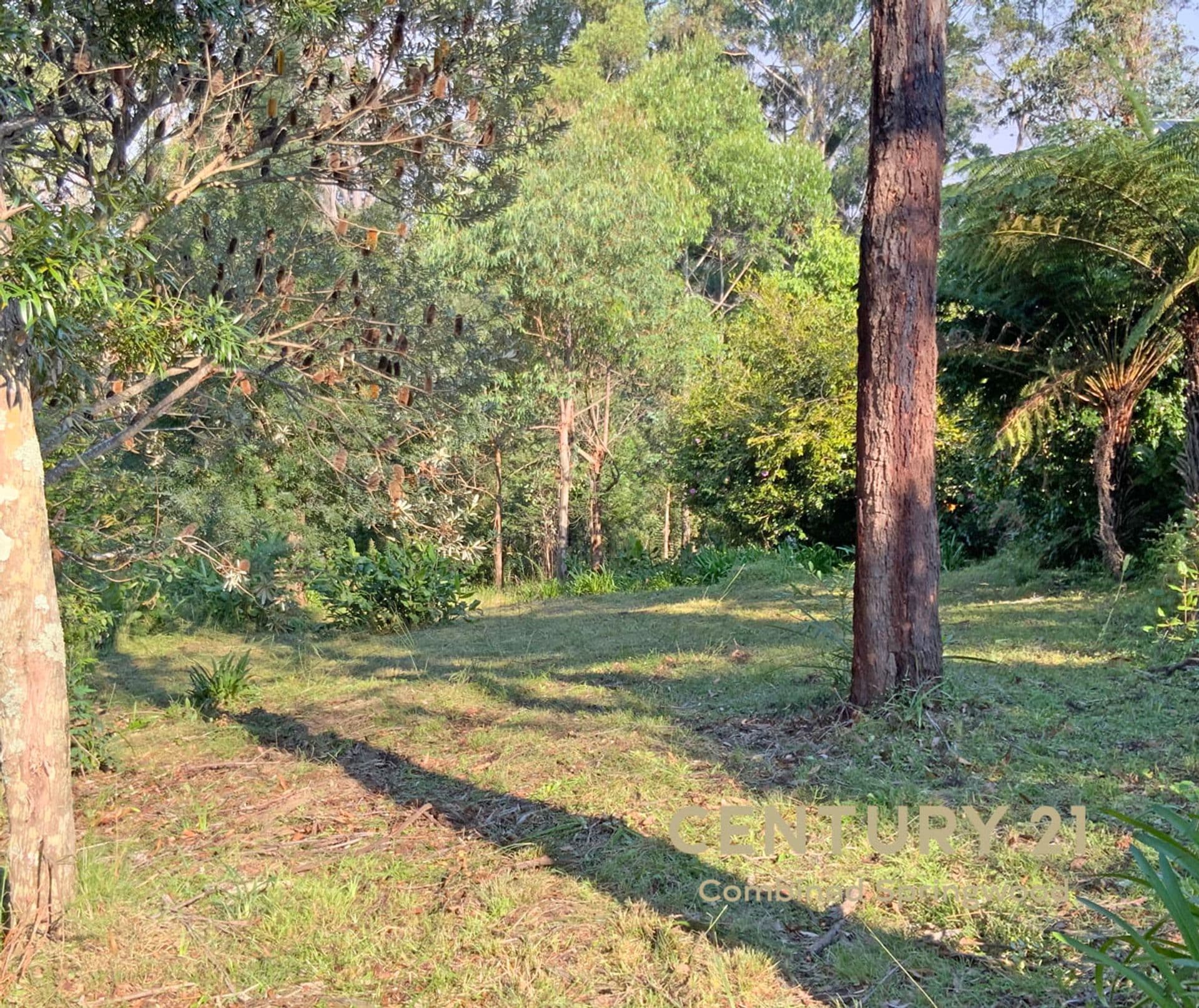 57 Mount View Avenue, Hazelbrook, NSW, 2779, Hazelbrook - Thumbnail 8