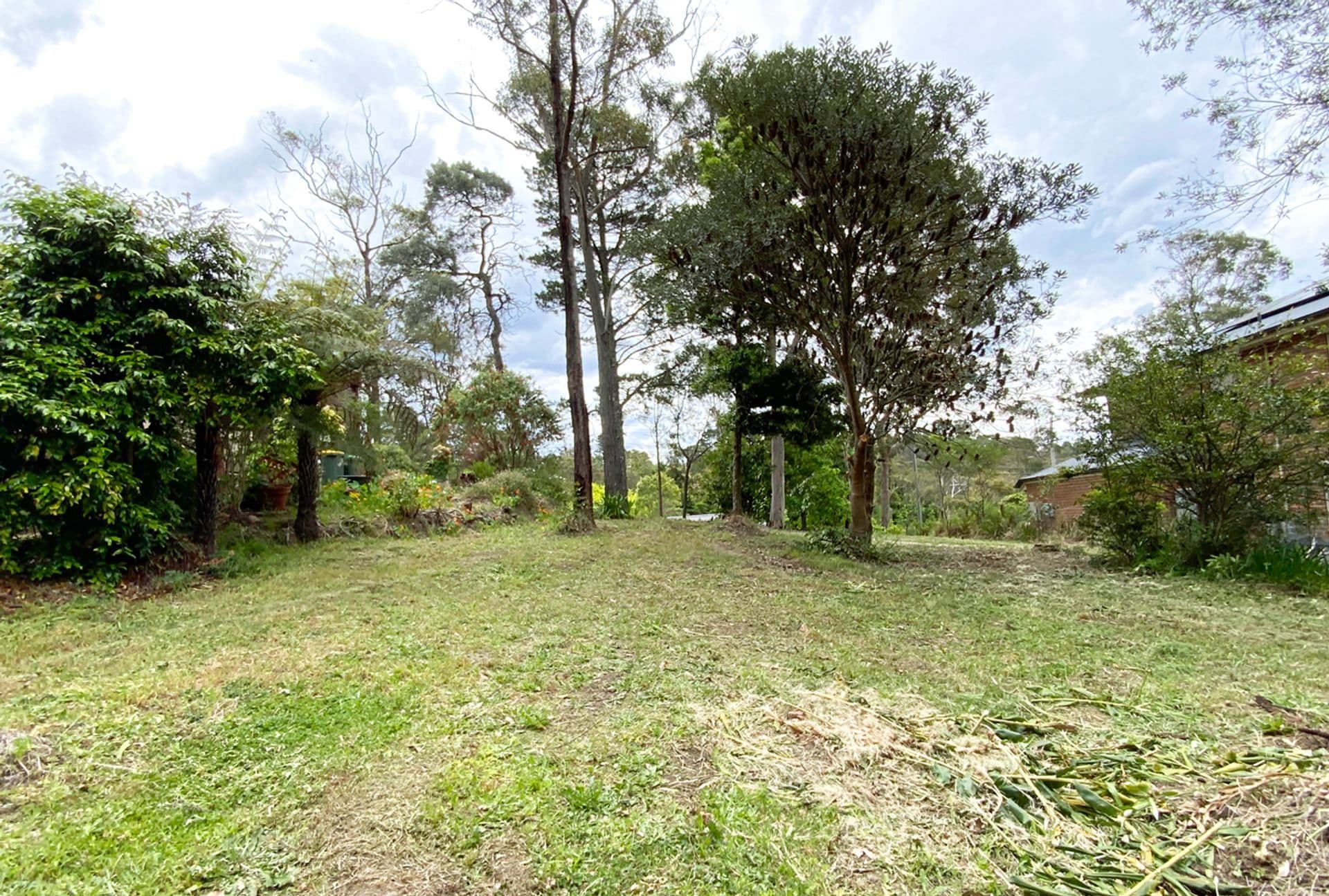 57 Mount View Avenue, Hazelbrook, NSW, 2779, Hazelbrook - Thumbnail 4