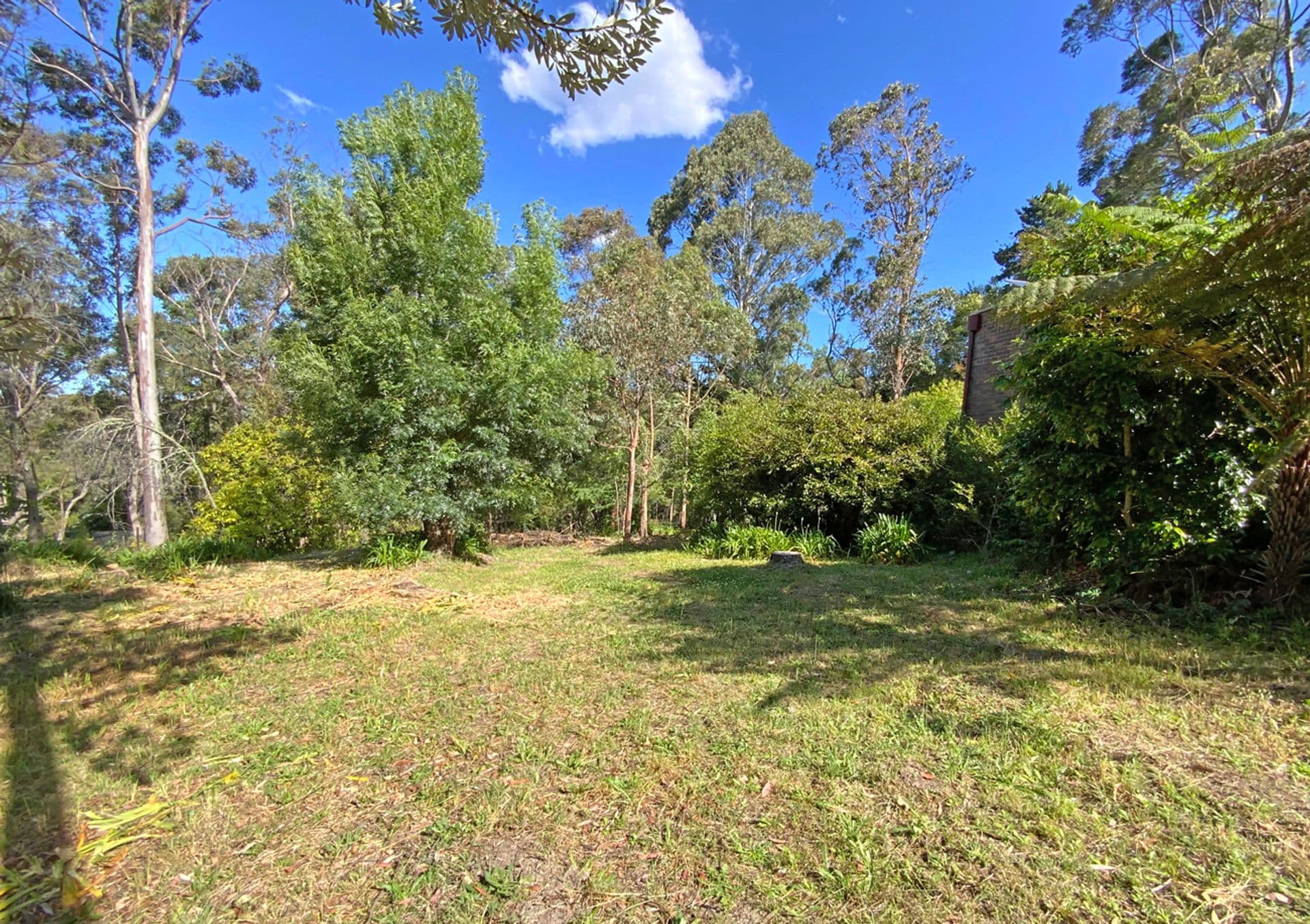 57 Mount View Avenue, Hazelbrook, NSW, 2779, Hazelbrook - Thumbnail 6