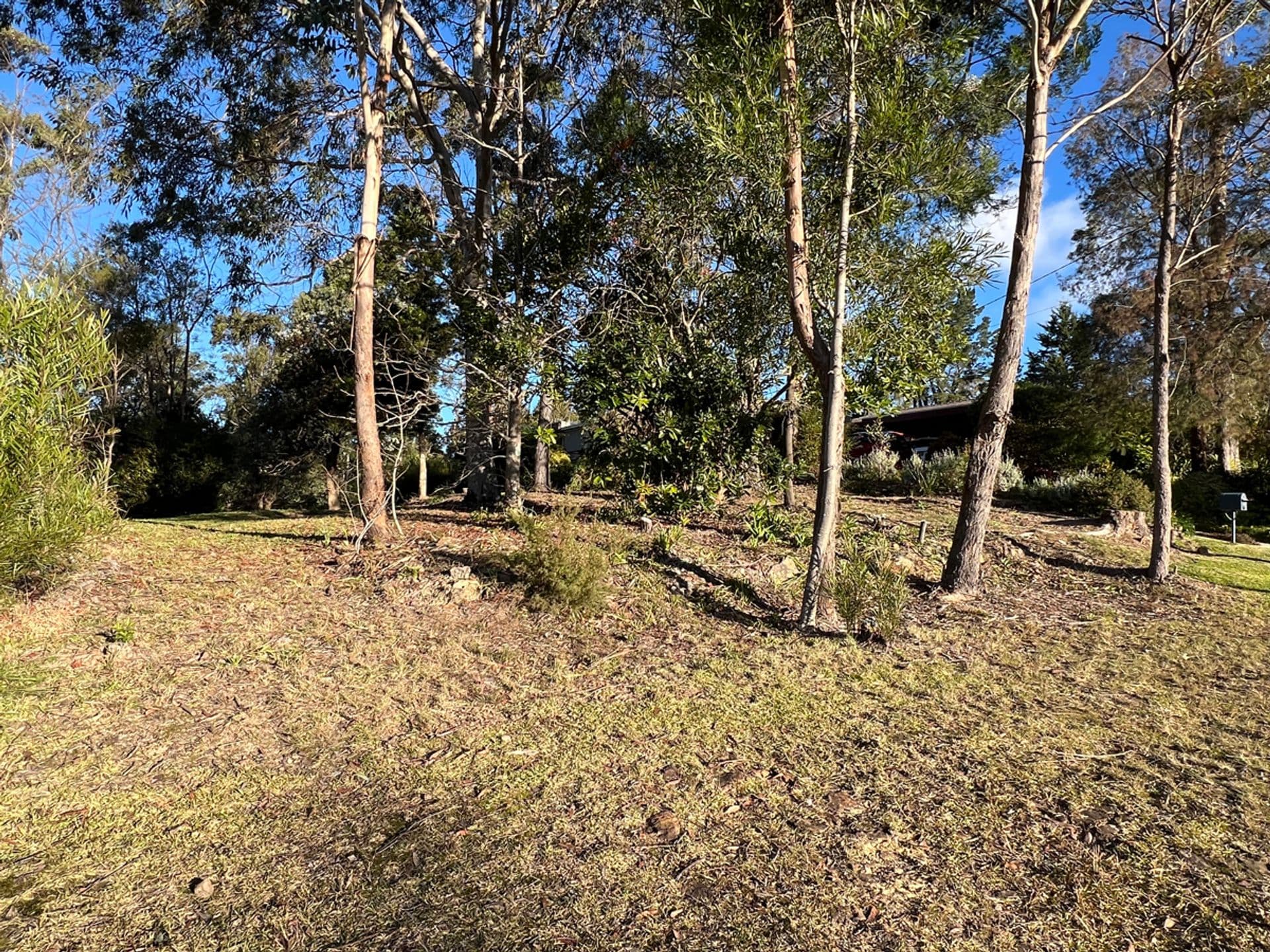 57 Mount View Avenue, Hazelbrook, NSW, 2779, Hazelbrook - Thumbnail 3