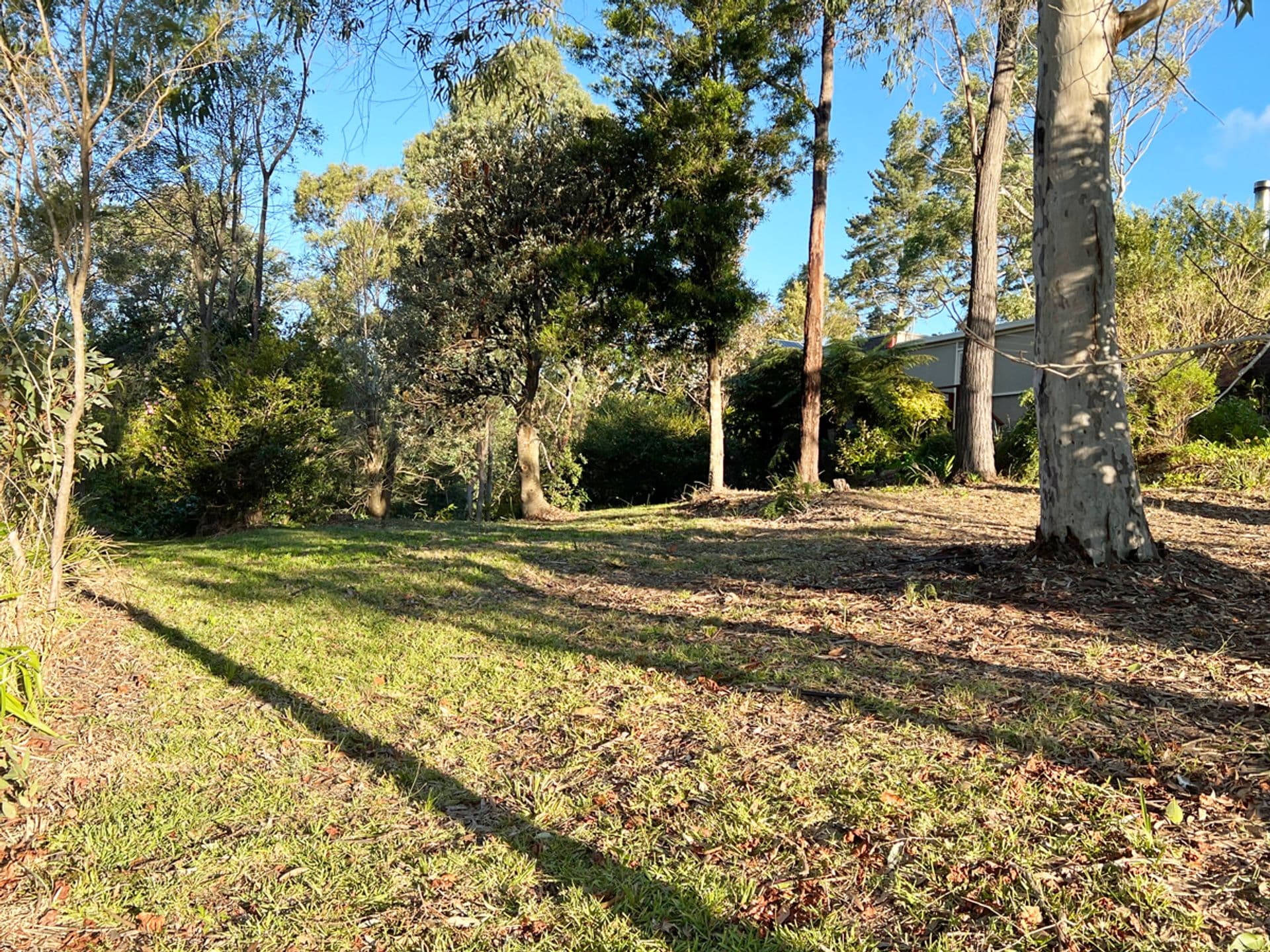 57 Mount View Avenue, Hazelbrook, NSW, 2779, Hazelbrook - Thumbnail 5