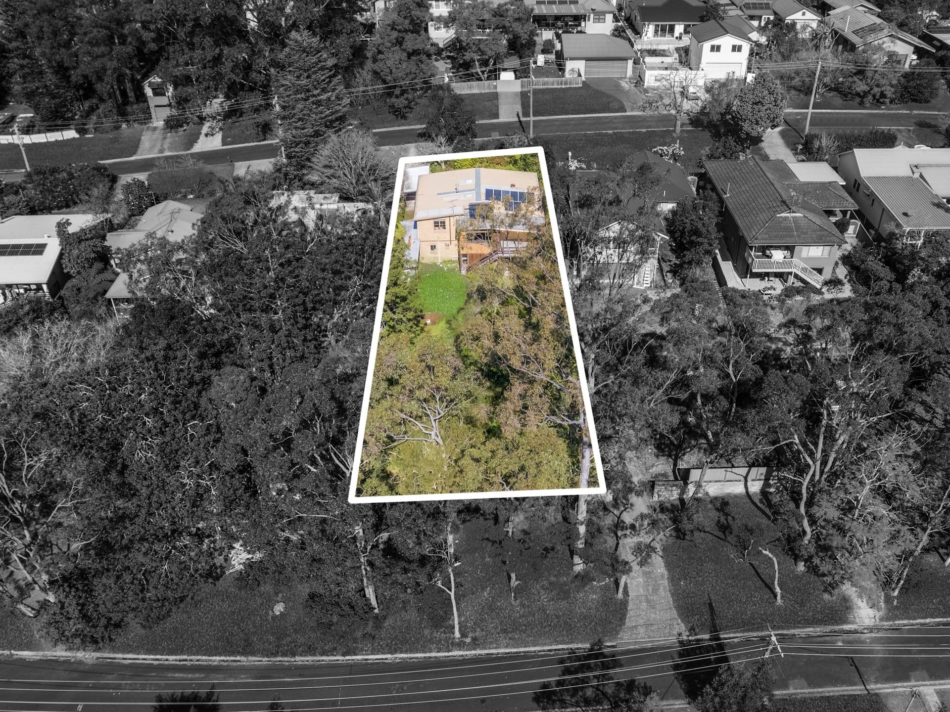 16 Park Avenue, Springwood, NSW, 2777, Springwood - Thumbnail 6