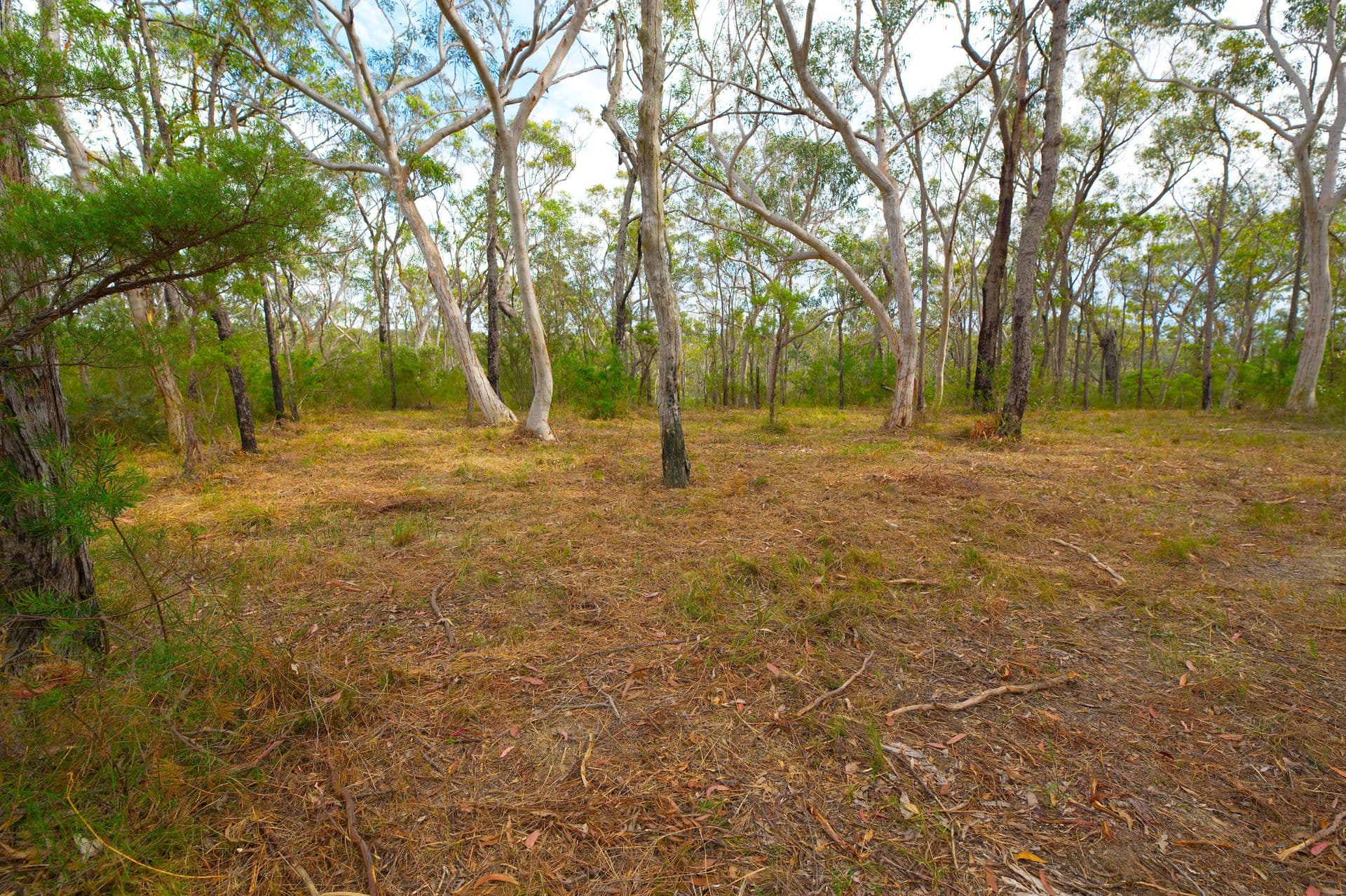 17 Daly Road, Faulconbridge, NSW, 2776, Faulconbridge - Thumbnail 3
