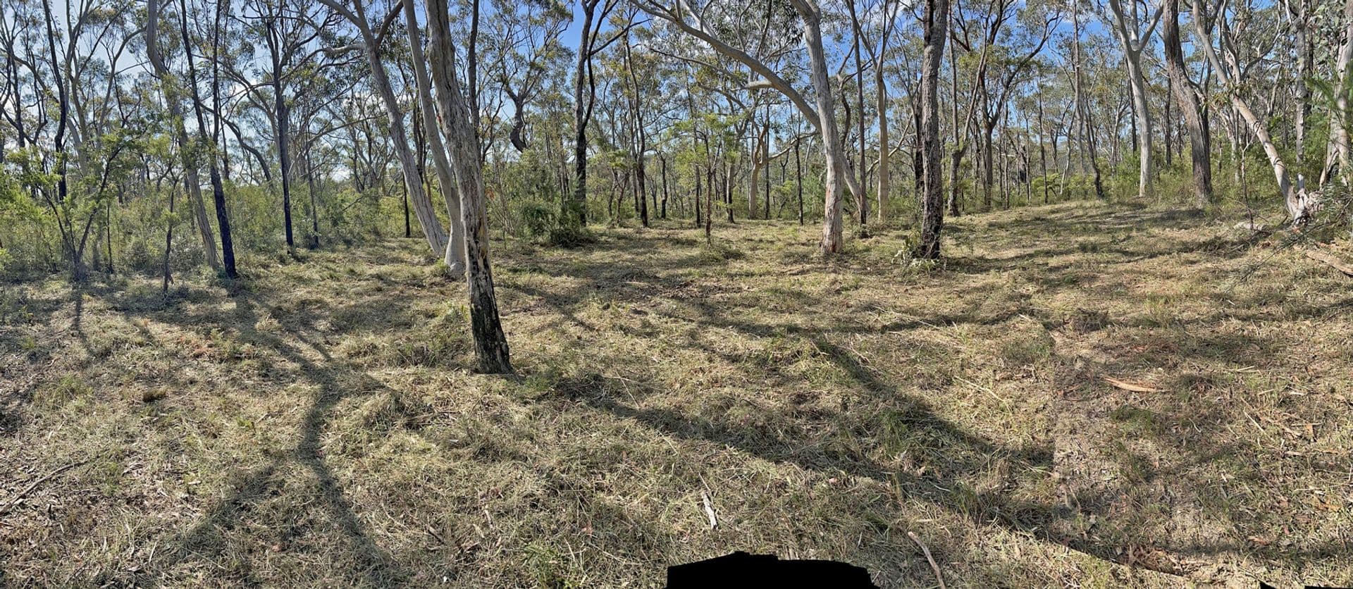 17 Daly Road, Faulconbridge, NSW, 2776, Faulconbridge - Thumbnail 5