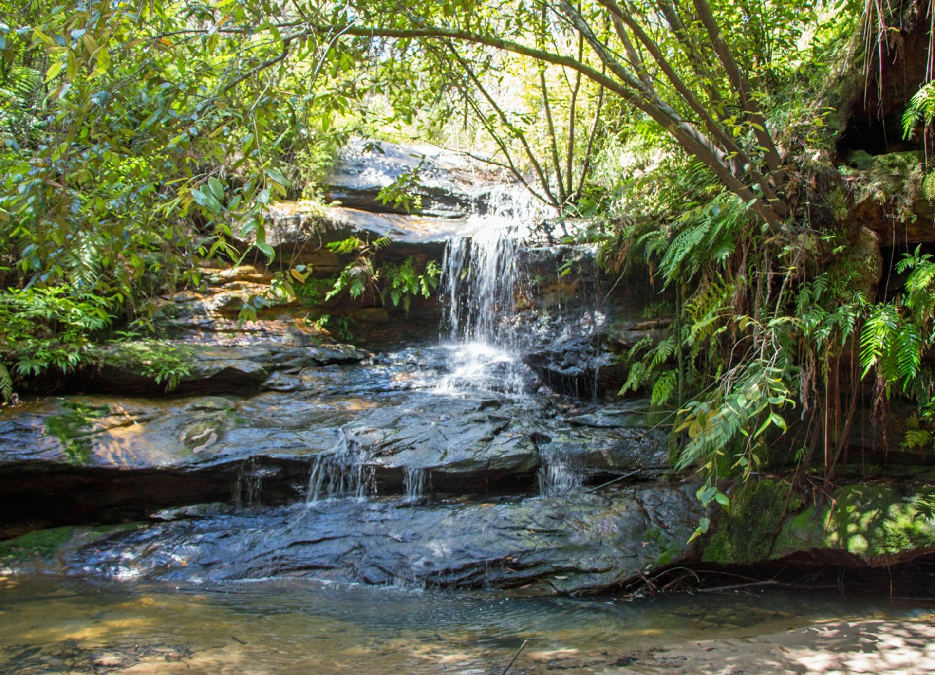 17 Daly Road, Faulconbridge, NSW, 2776, Faulconbridge - Thumbnail 2