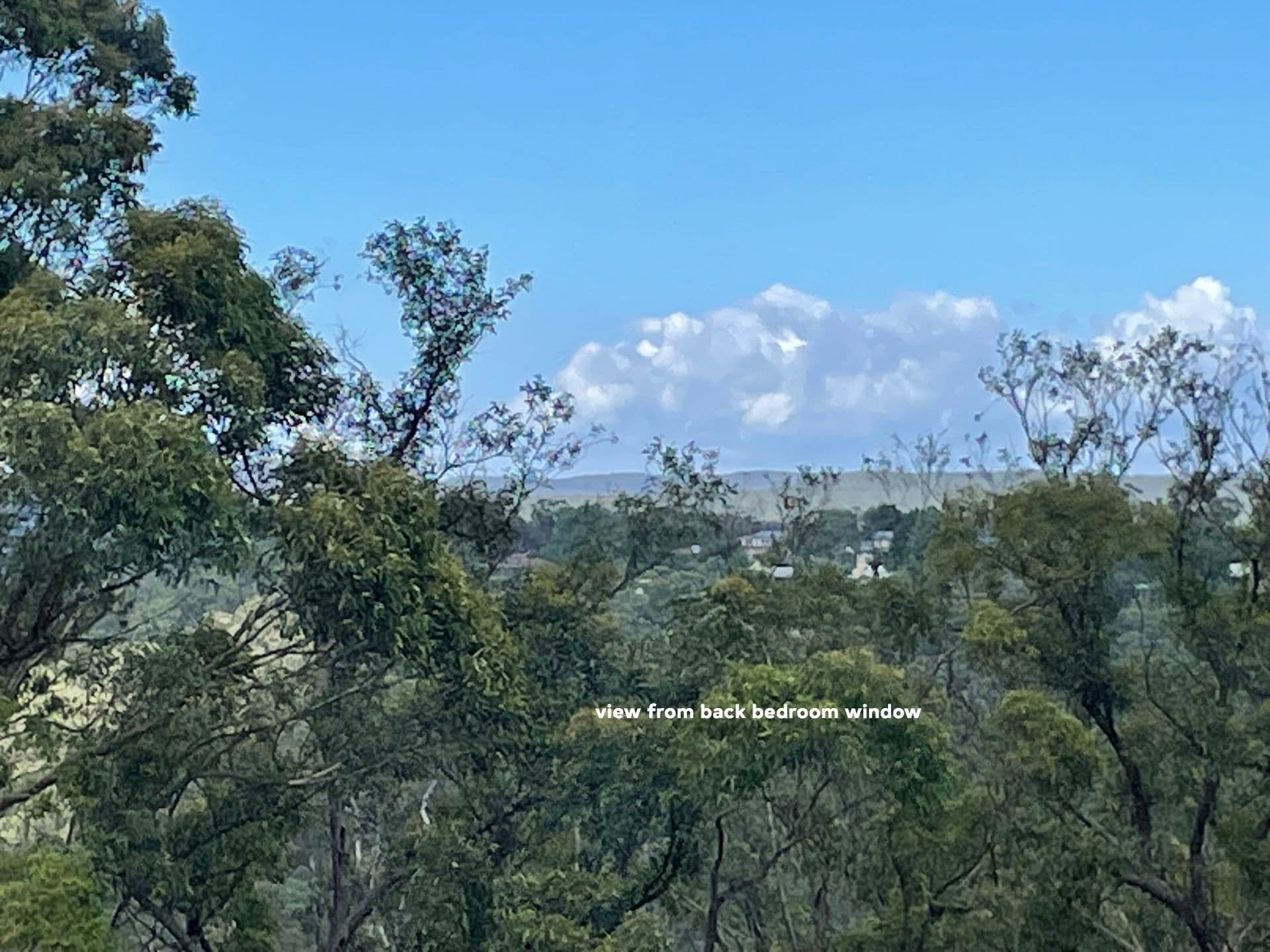 45 Bedford Rd, Woodford, NSW, 2778, Woodford - Thumbnail 8