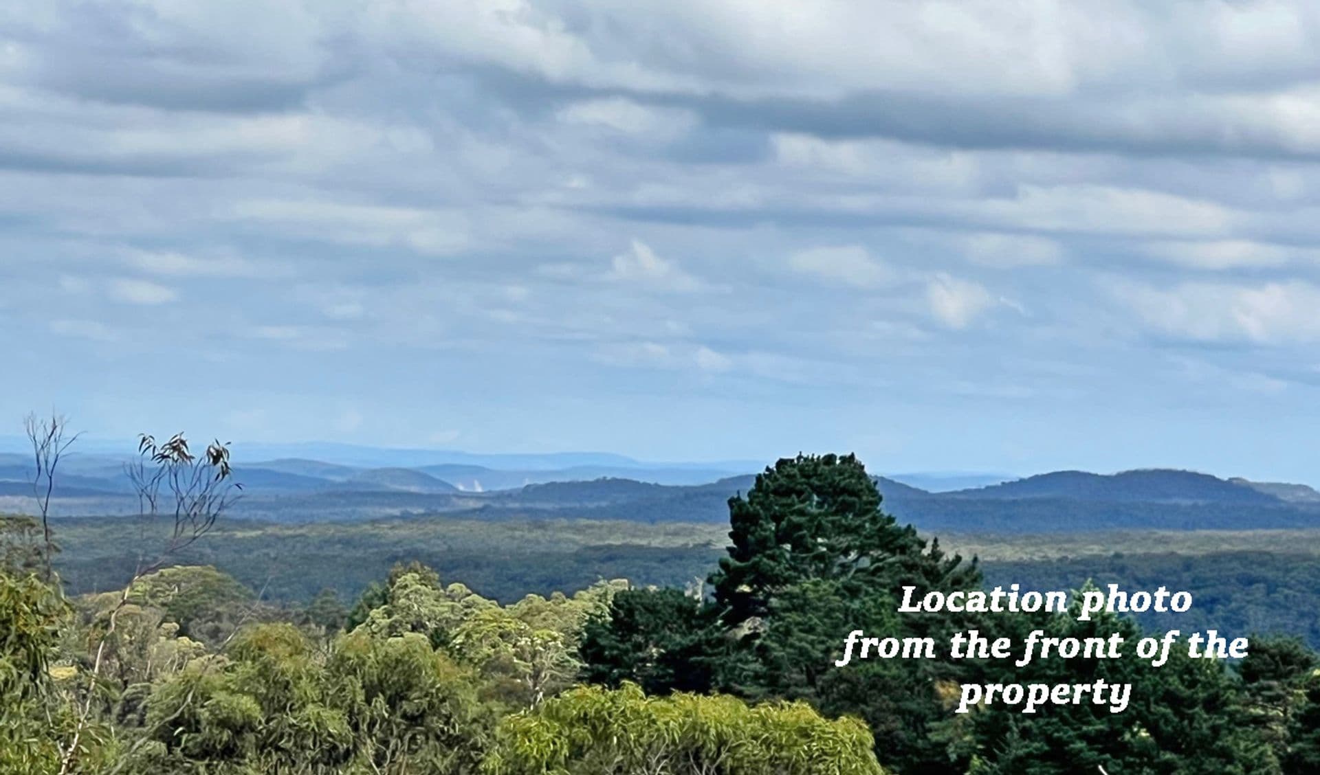 3 Kalinda Road, Bullaburra, NSW, 2784, Bullaburra - Thumbnail 3