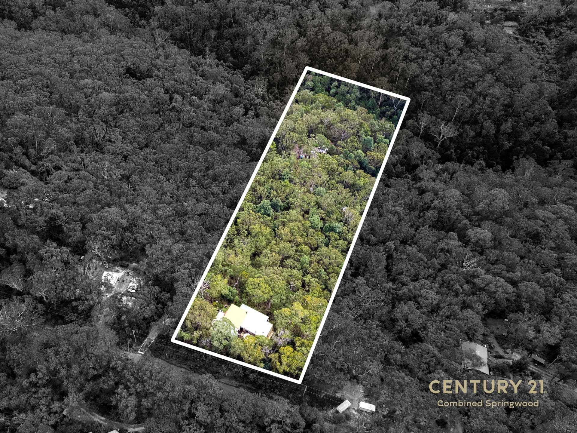 106 Albert Road, Bullaburra, NSW, 2784, Bullaburra - Thumbnail 5
