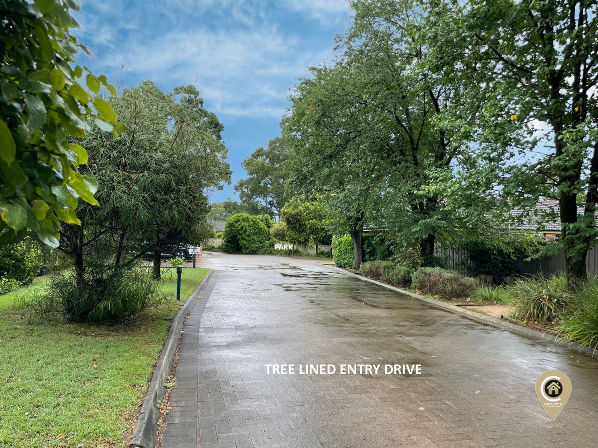 135 Macquarie Road, Springwood, NSW, 2777, Kingswood - Thumbnail 3
