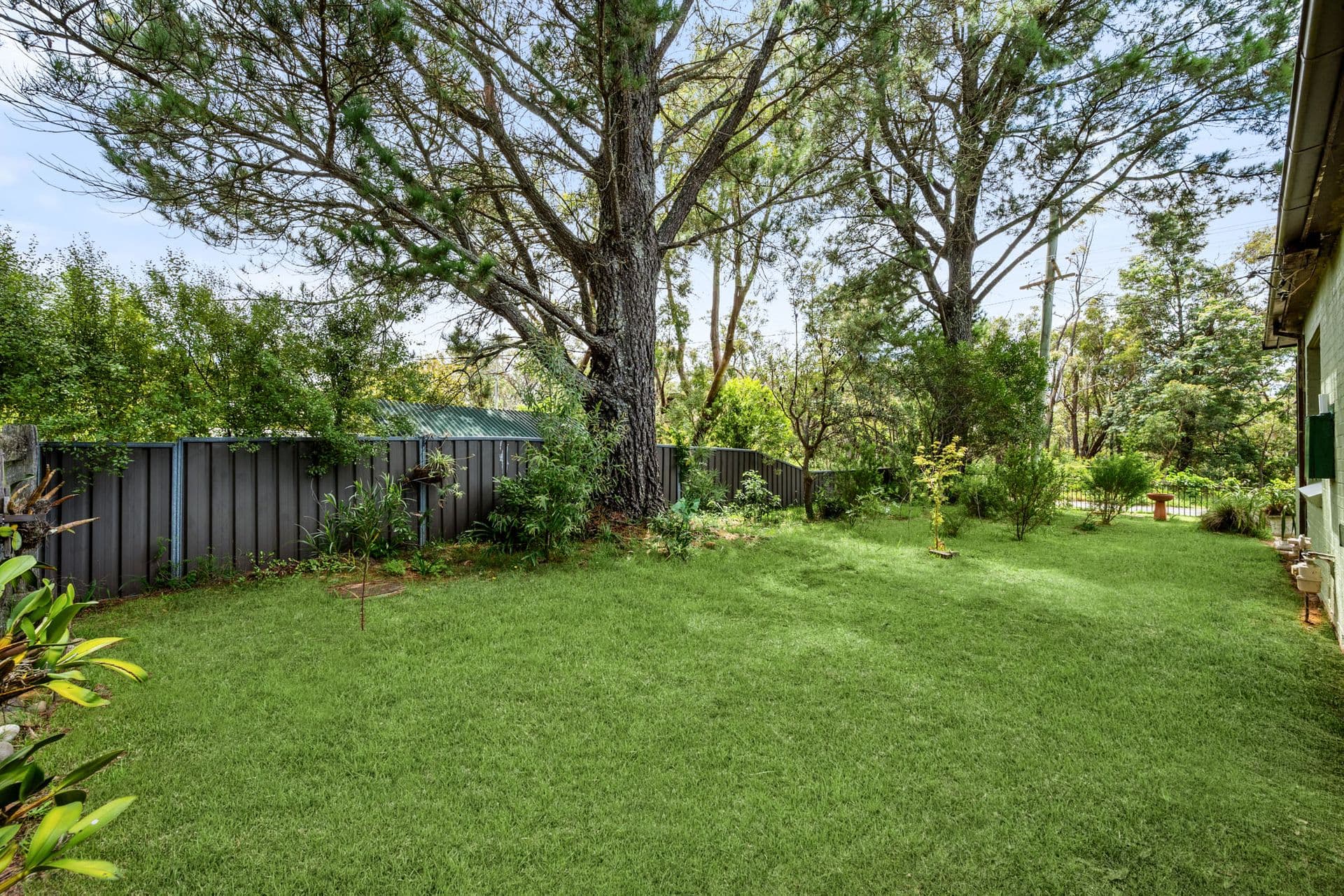 43 Genevieve Road, Bullaburra, NSW, 2784, Bullaburra - Thumbnail 8