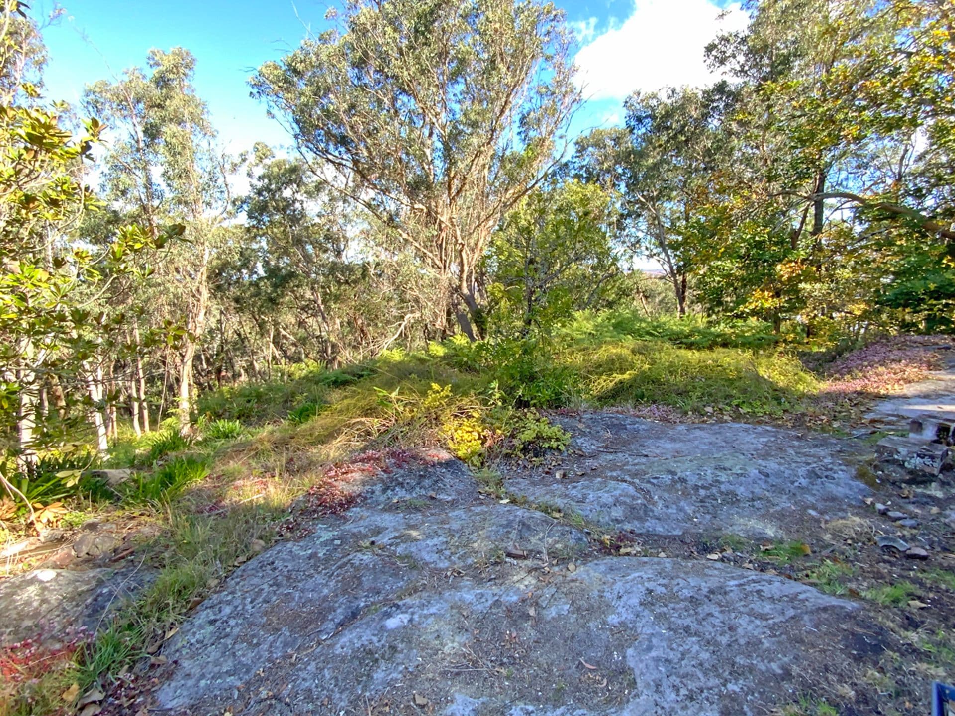 4 Mona Road, Woodford, NSW, 2778, Woodford - Thumbnail 7