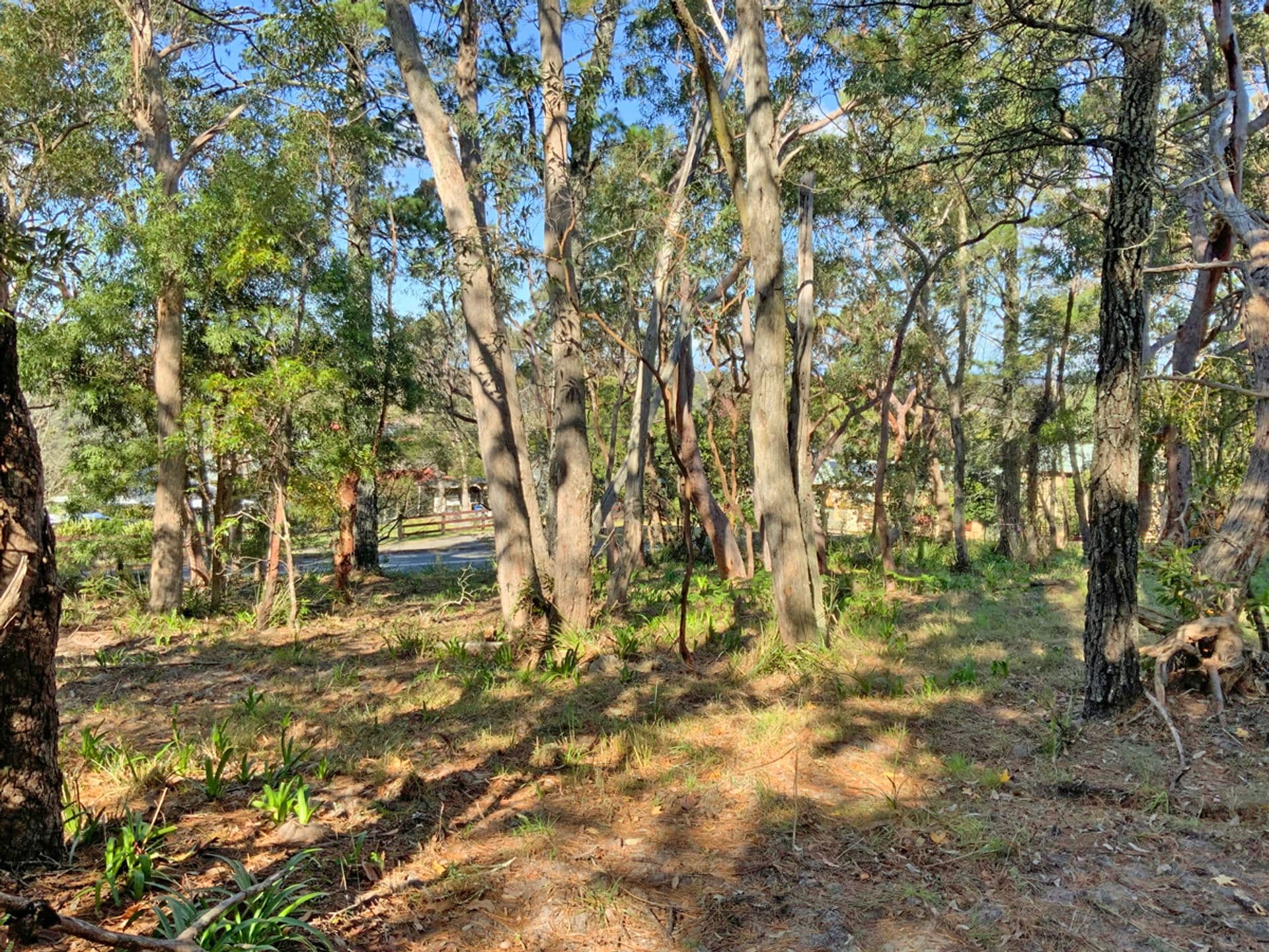 4 Mona Road, Woodford, NSW, 2778, Woodford - Thumbnail 6