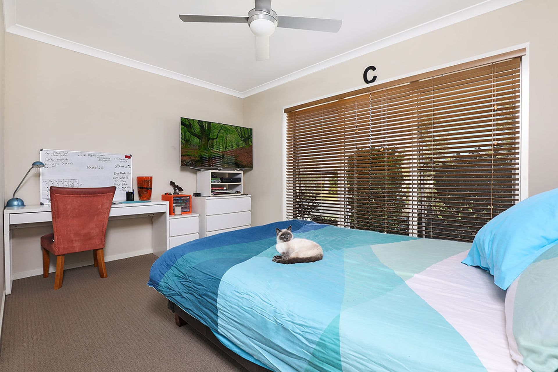 2/24 Bulcock Street, Caloundra, QLD, 4551, Pelican Waters - Thumbnail 8