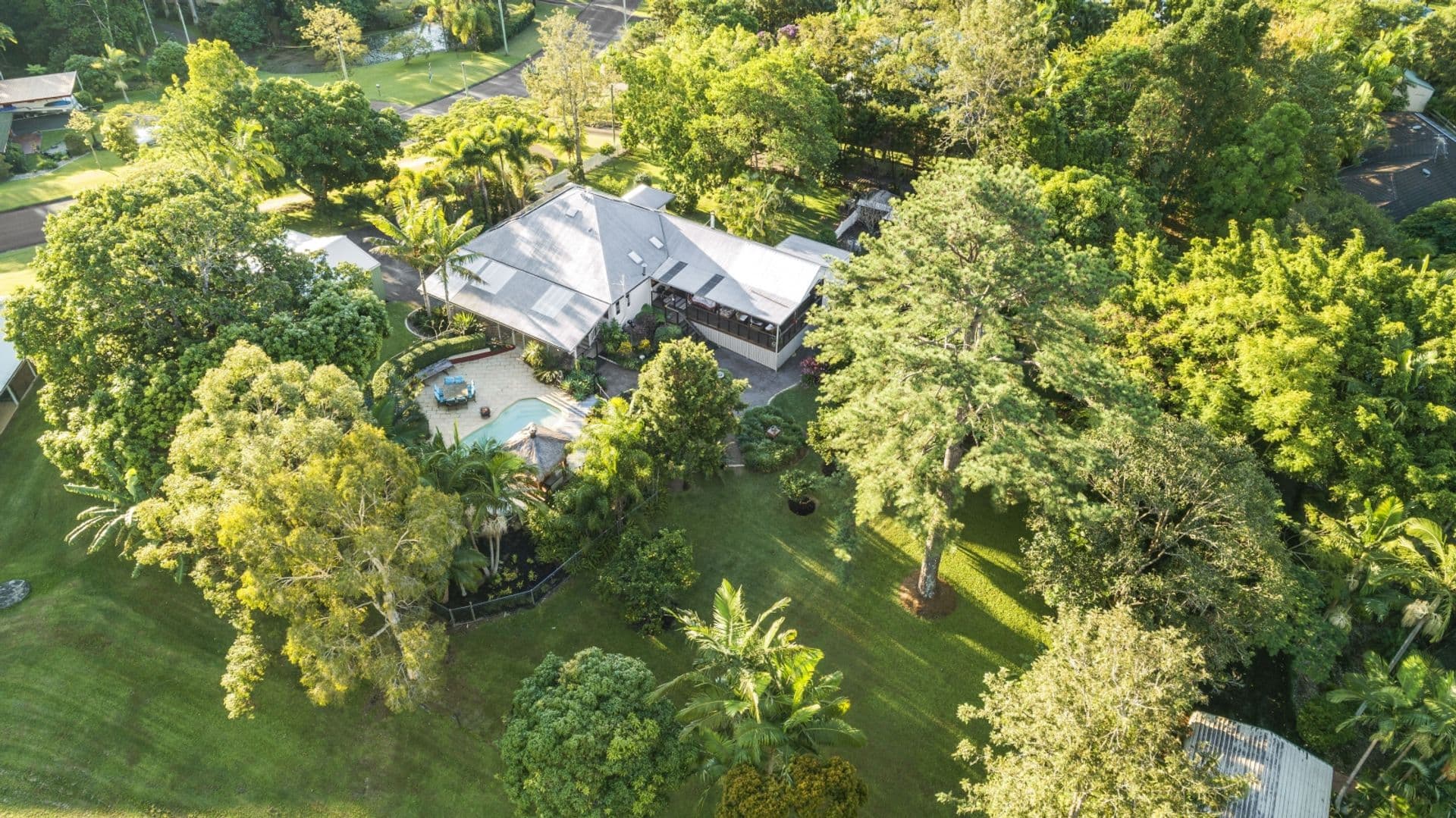 12 McGregor Court, Mooloolah Valley, QLD, 4553, Mooloolah Valley - Thumbnail 5