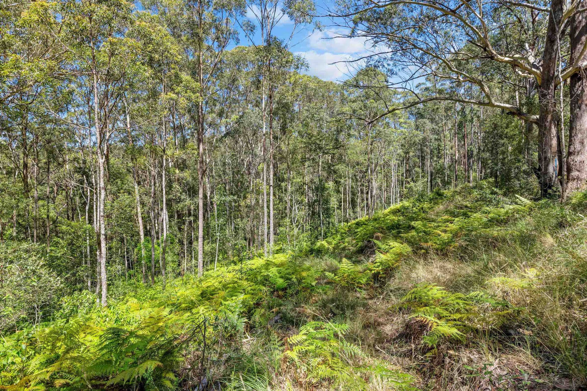 2/24 Bulcock Street, Caloundra, QLD, 4551, Diamond Valley - Thumbnail 7