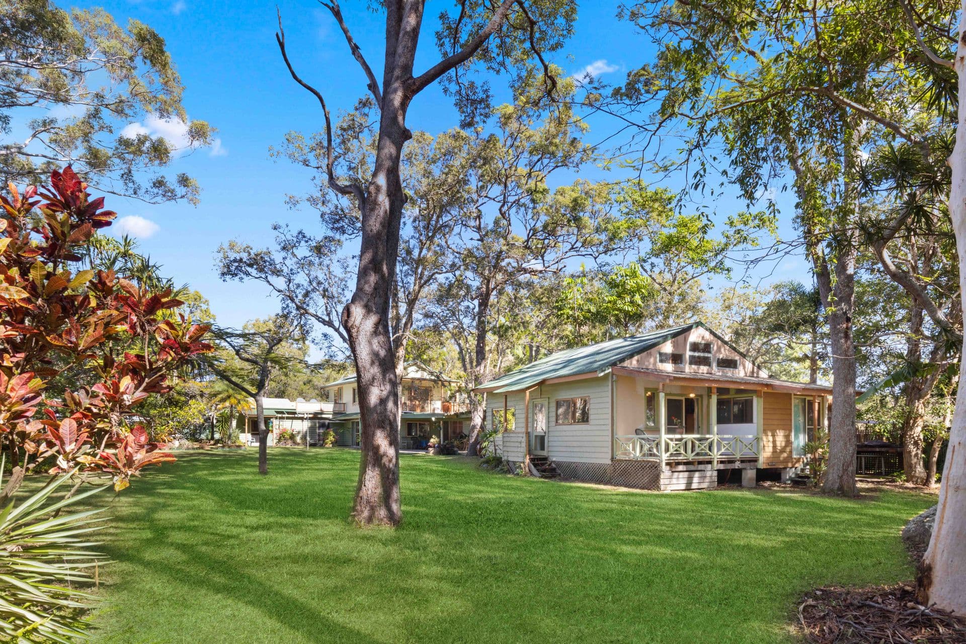 51 Allen Street, Moffat Beach, QLD, 4551, Moffat Beach - Thumbnail 3