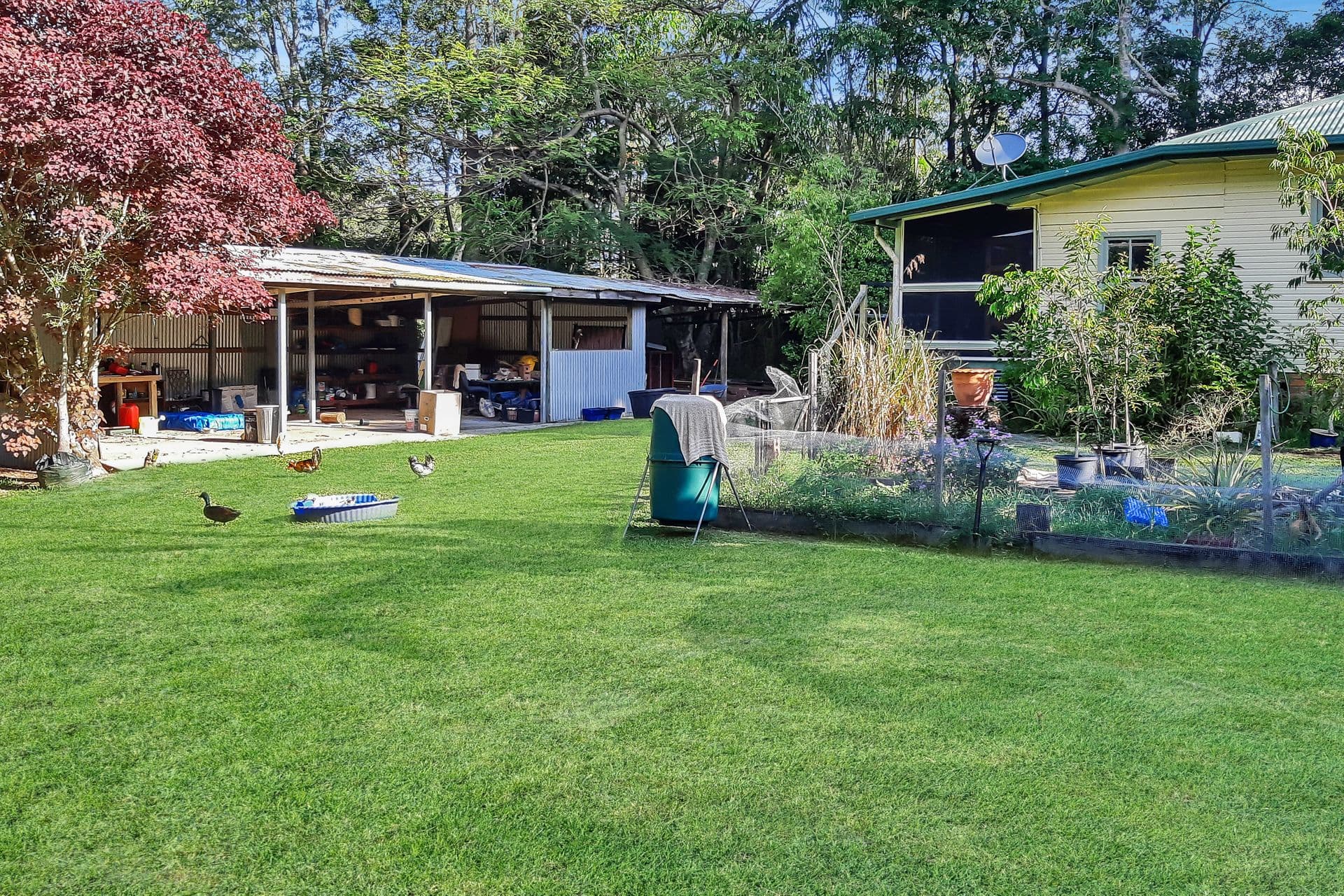 2/24 Bulcock Street, Caloundra, QLD, 4551, Beerwah - Thumbnail 8