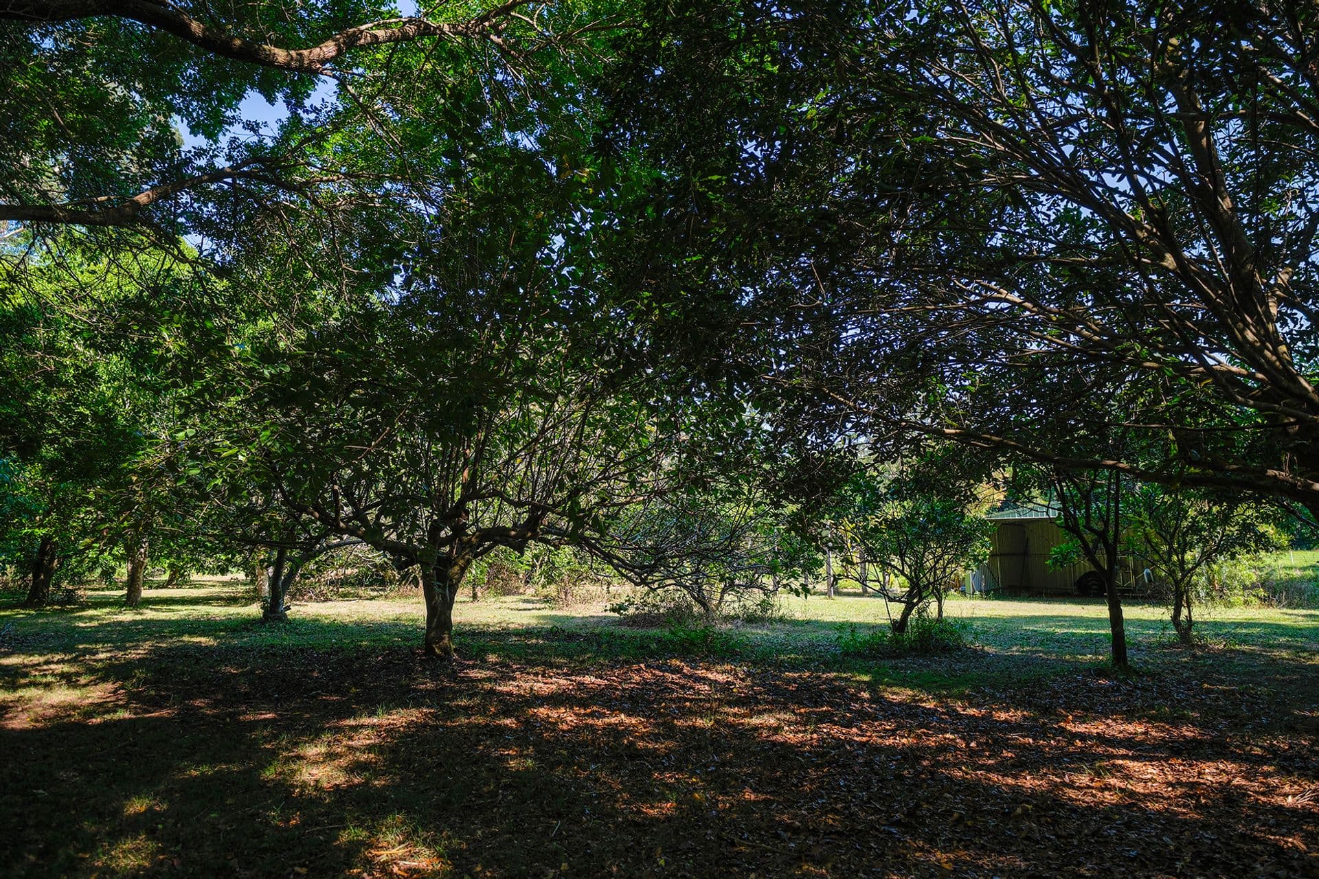 2/24 Bulcock Street, Caloundra, QLD, 4551, Peachester - Thumbnail 7