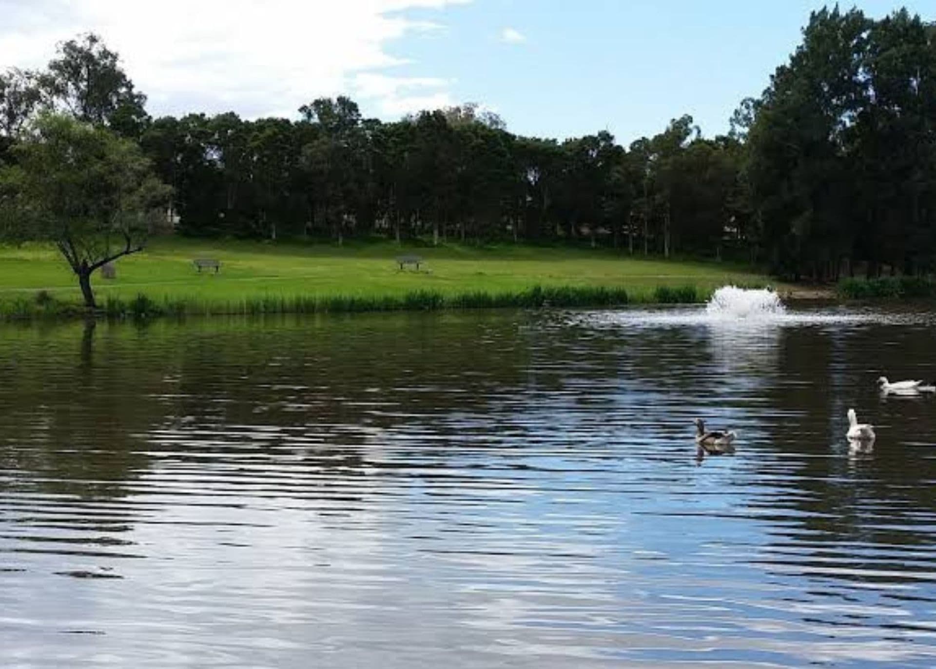 2/43 Garfield Road East, Riverstone, NSW, 2765, Werrington - Thumbnail 4