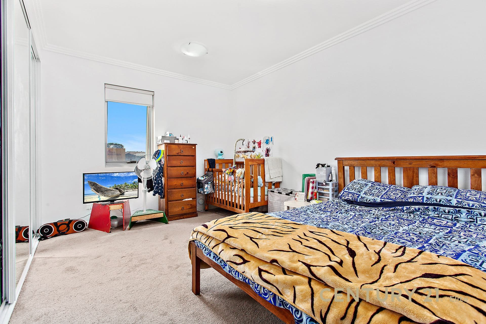 204/11-13 Hercules Street, Ashfield, NSW, 2131, Ashfield - Thumbnail 6