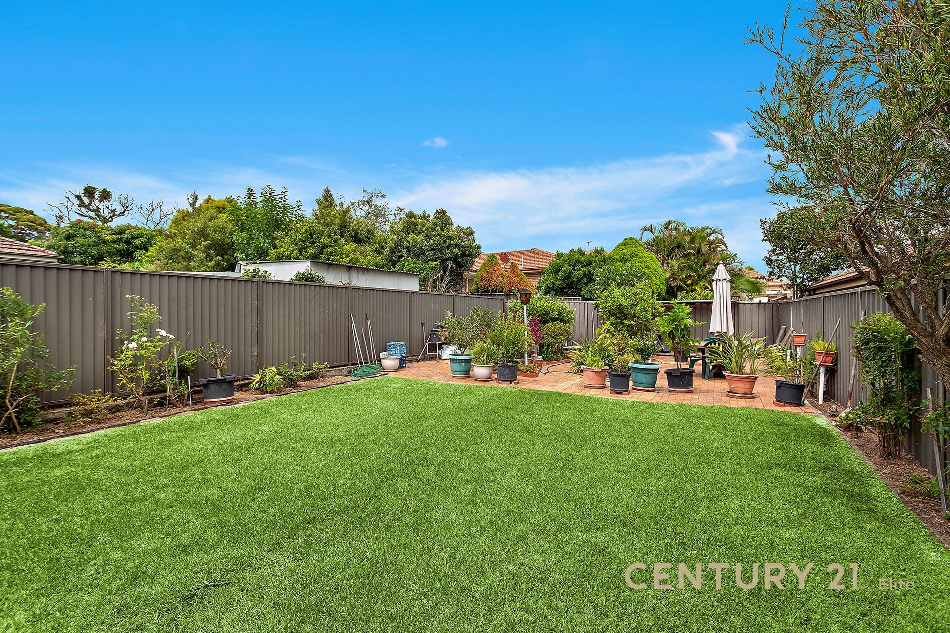 103 Mimosa Street, Bexley, NSW, 2207, Bexley - Thumbnail 3