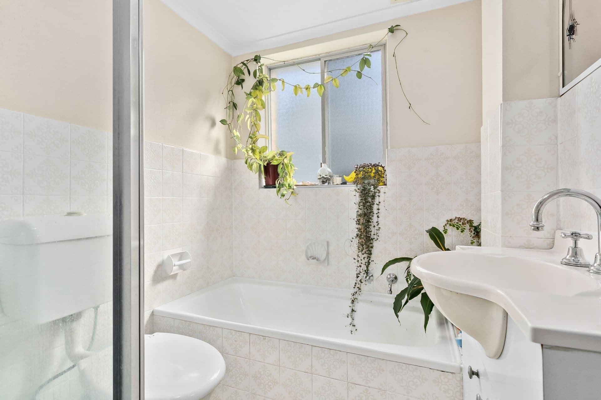 8/47-49 Ewart Street, Marrickville, NSW, 2204, Marrickville - Thumbnail 4