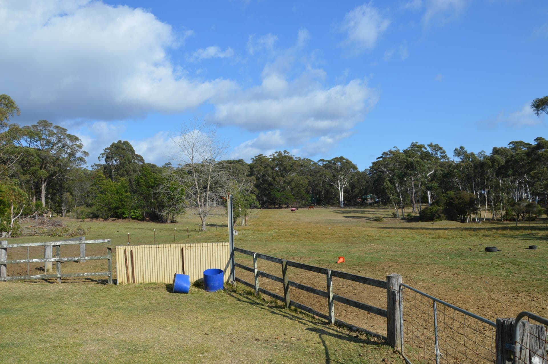 41 Mortimer Road, Falls Creek, NSW, 2540, Falls Creek - Thumbnail 4