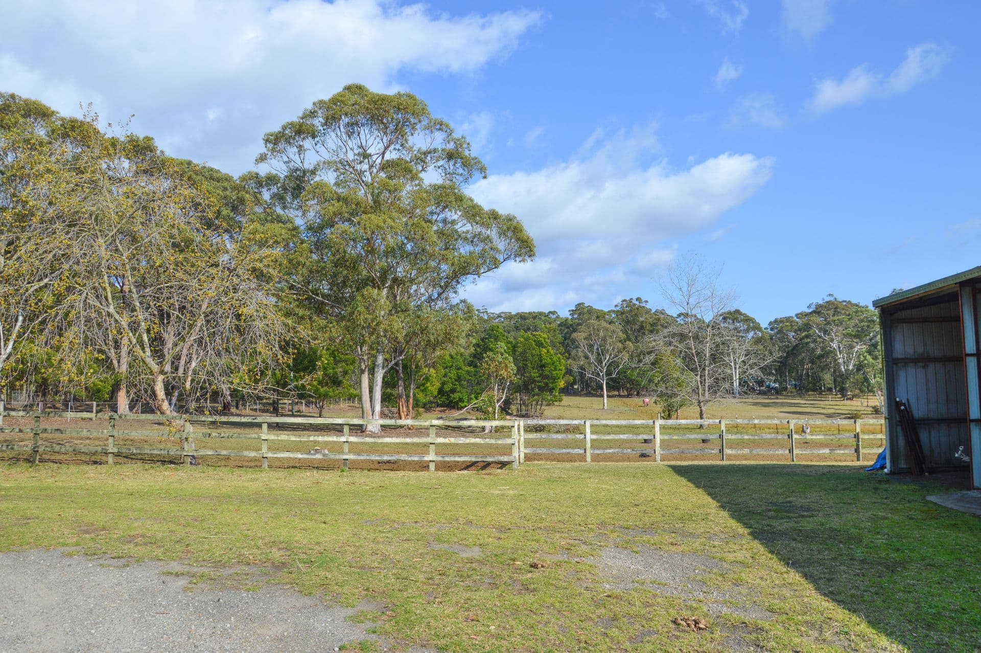 41 Mortimer Road, Falls Creek, NSW, 2540, Falls Creek - Thumbnail 3