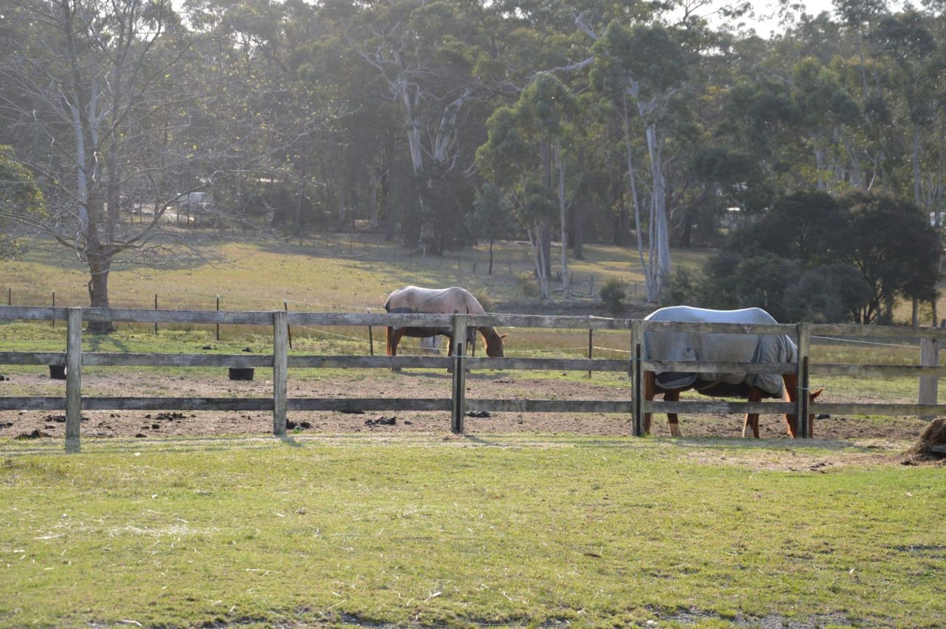 41 Mortimer Road, Falls Creek, NSW, 2540, Falls Creek - Thumbnail 2