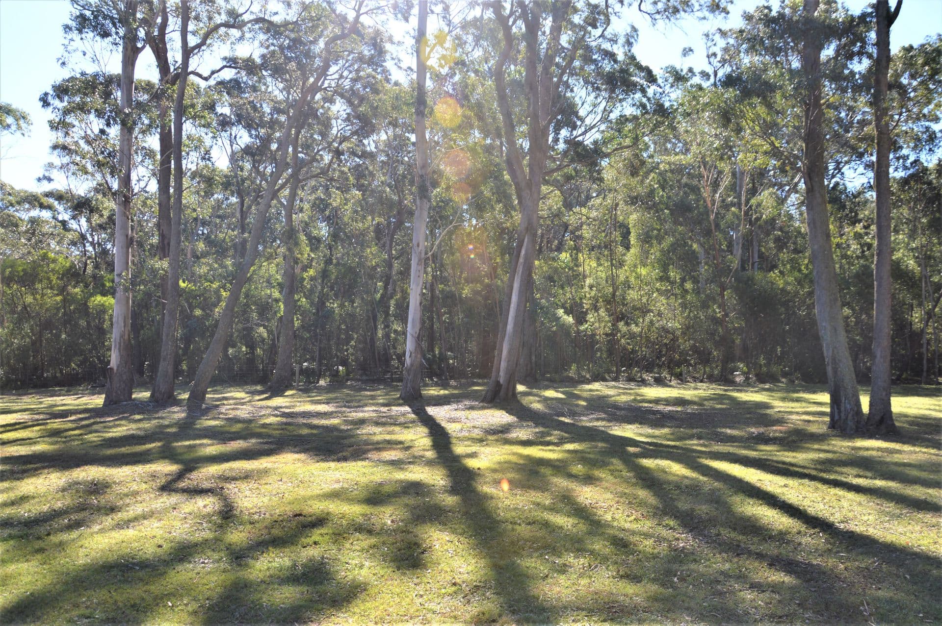 49 Gretas Road, Sassafras, NSW, 2622, Sassafras - Thumbnail 6