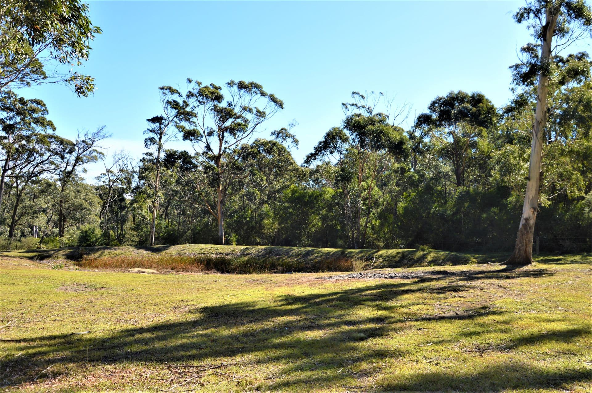 49 Gretas Road, Sassafras, NSW, 2622, Sassafras - Thumbnail 7