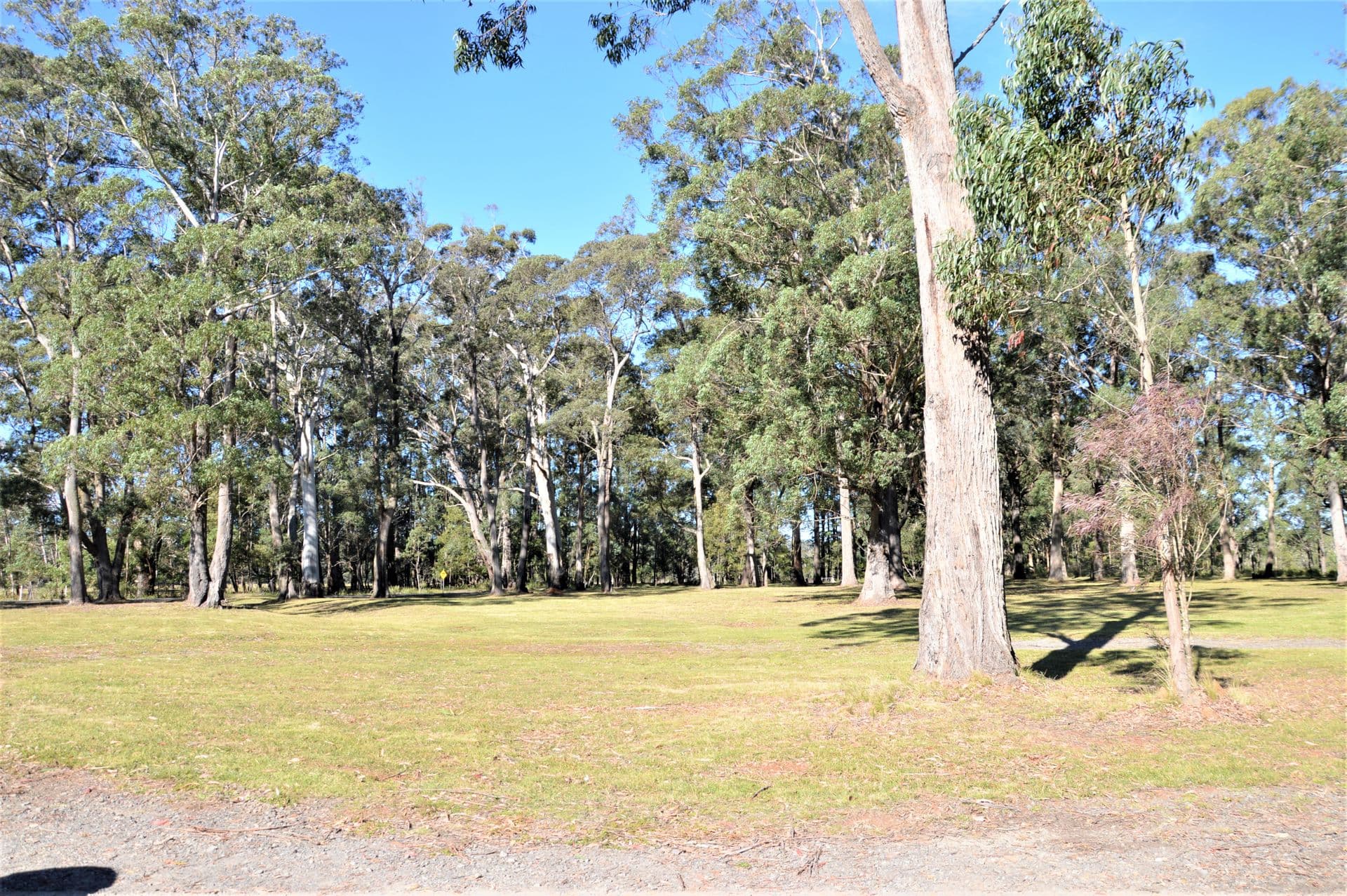 49 Gretas Road, Sassafras, NSW, 2622, Sassafras - Thumbnail 8