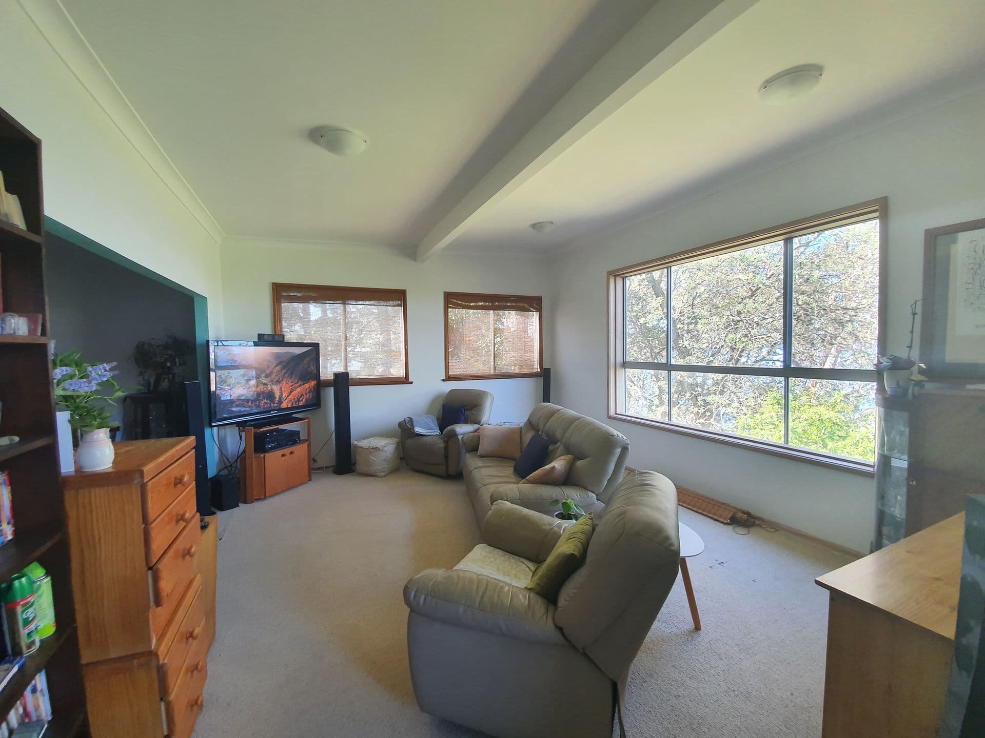 156 Greville Ave, Sanctuary Point, NSW, 2540, Sanctuary Point - Thumbnail 5