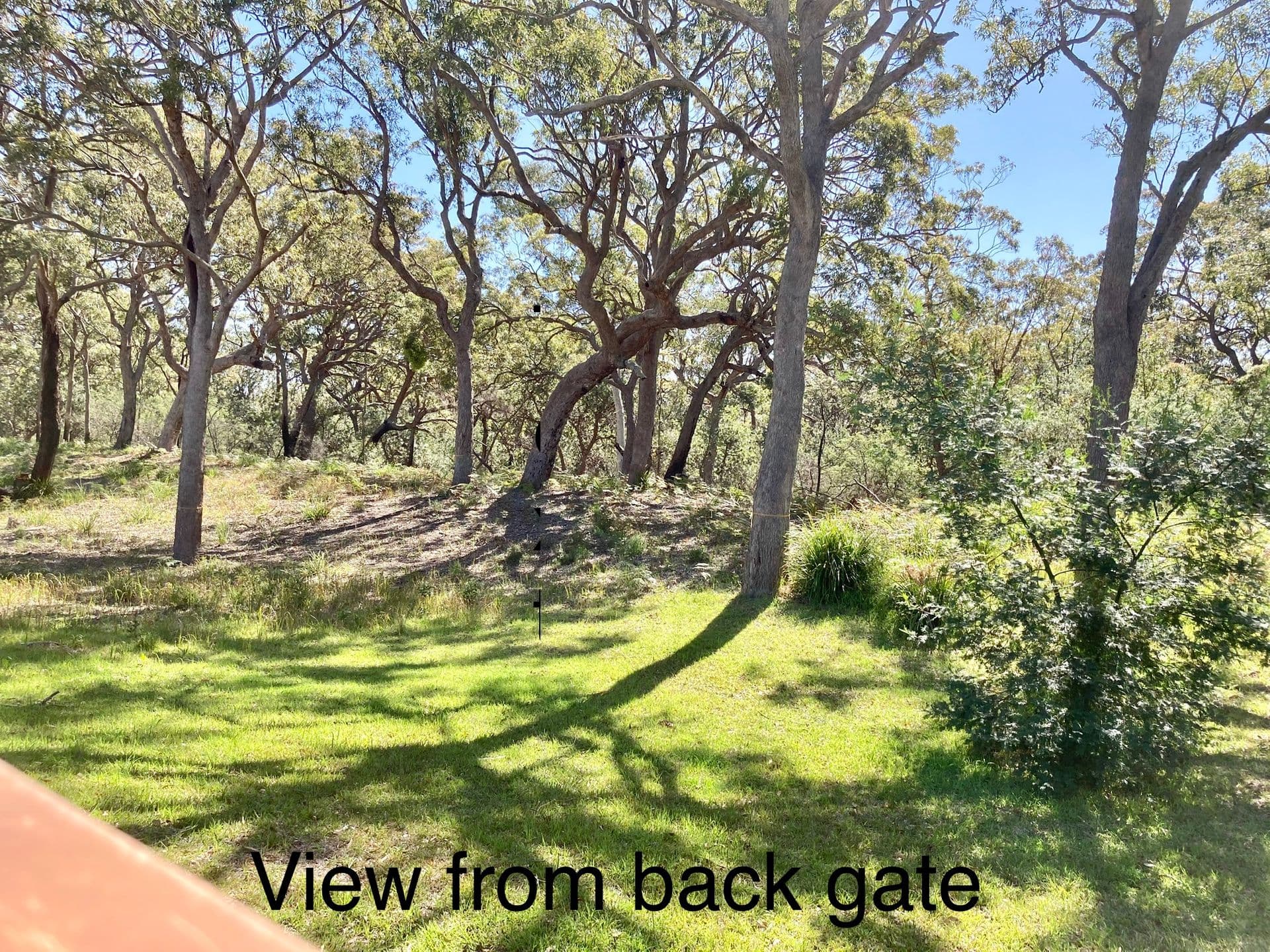 136 Queen Mary Street, Callala Beach, NSW, 2540, Callala Beach - Thumbnail 2