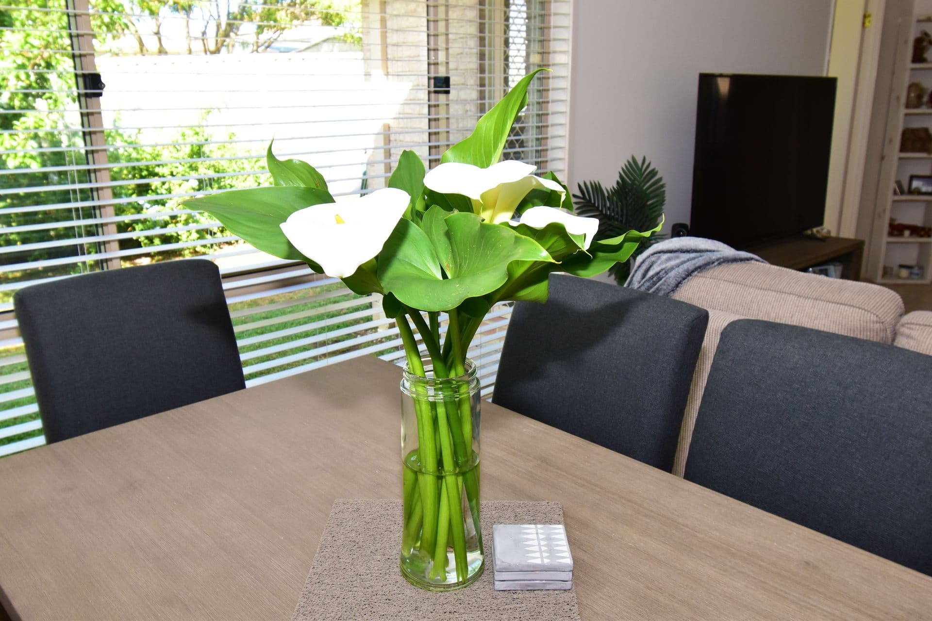 11 Kembla Close, Nowra, NSW, 2541, Nowra - Thumbnail 3