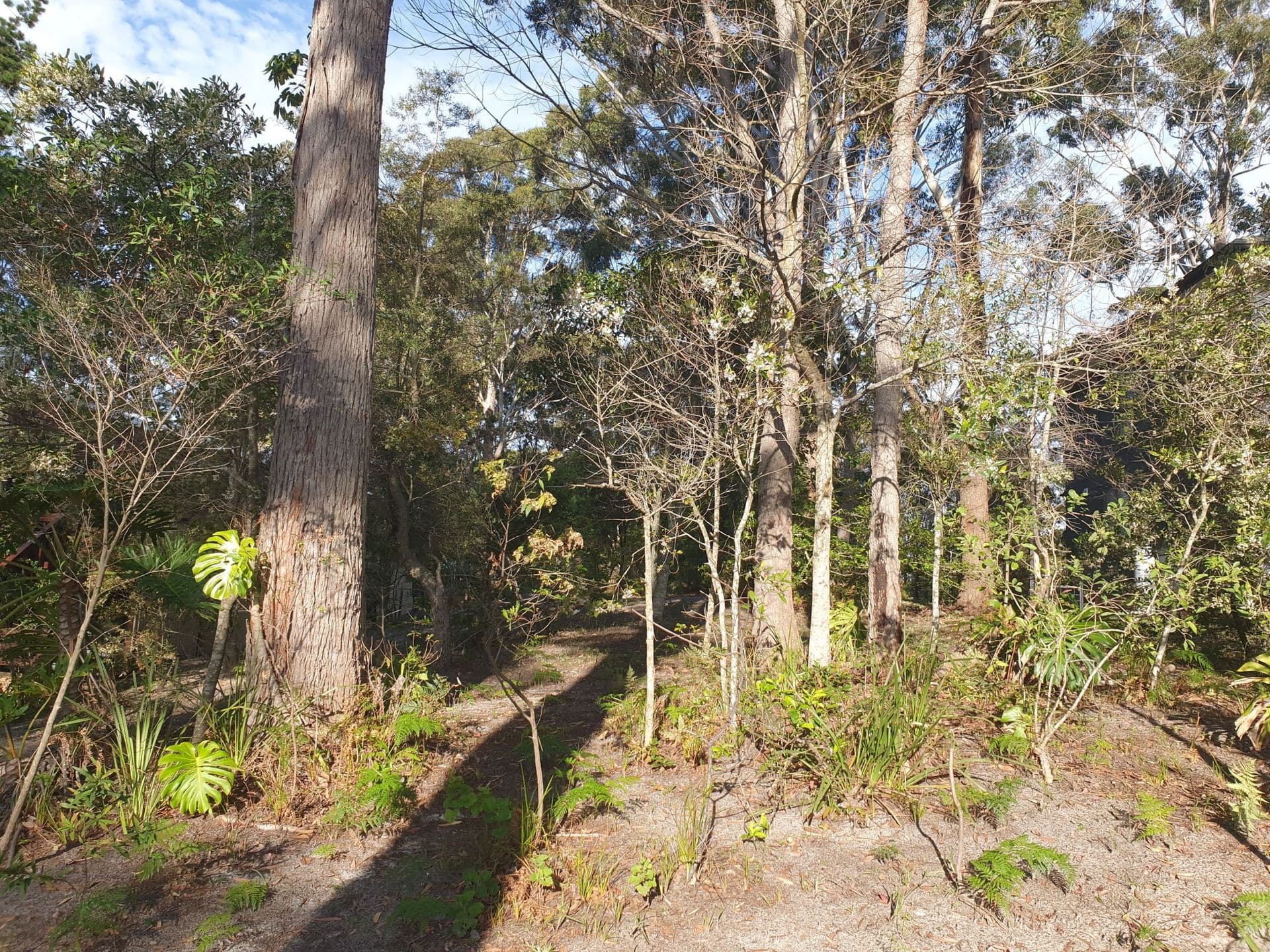10 Attunga Avenue, Sanctuary Point, NSW, 2540, Sanctuary Point - Thumbnail 2