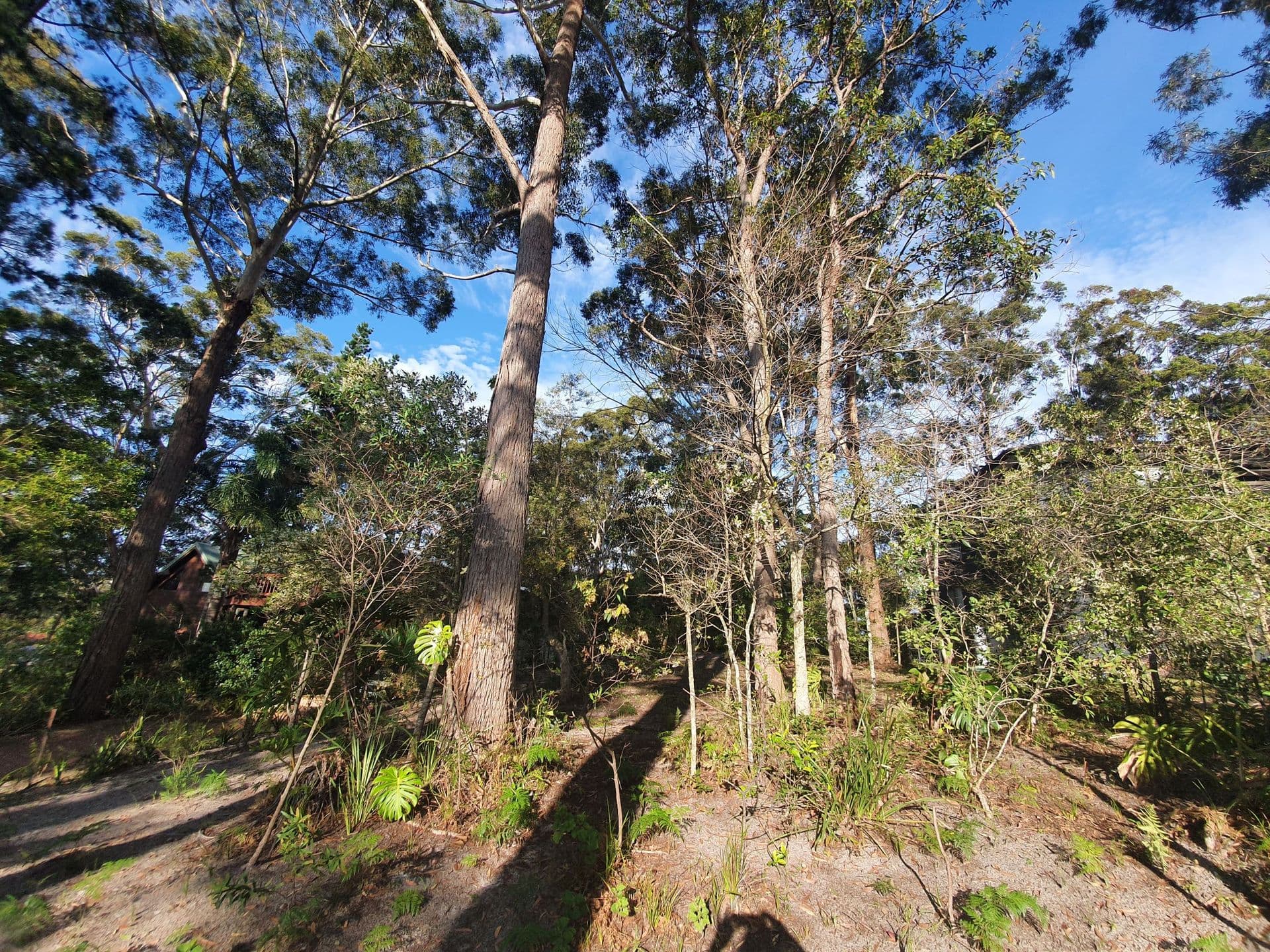 10 Attunga Avenue, Sanctuary Point, NSW, 2540, Sanctuary Point - Thumbnail 3