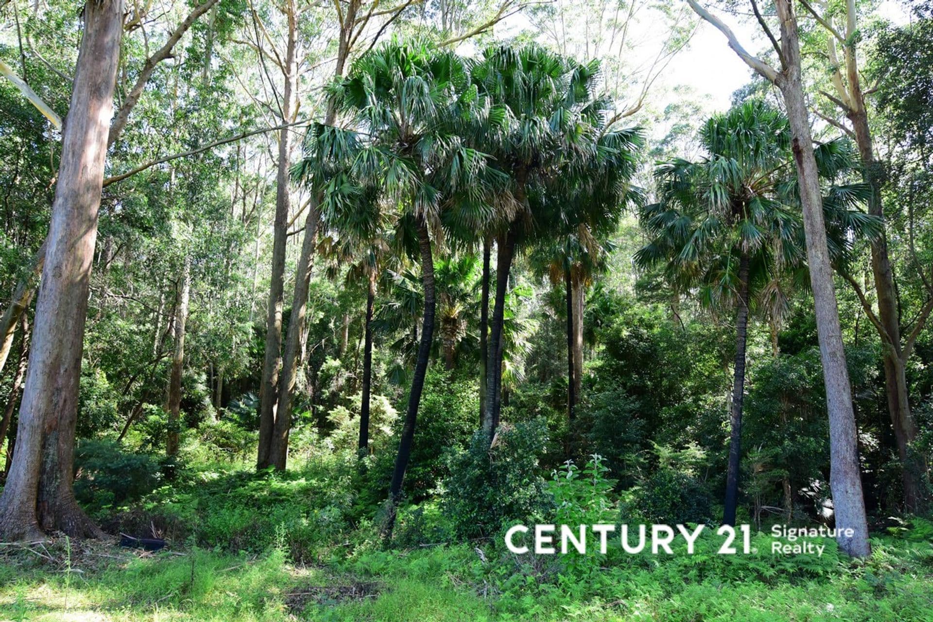 54 Battunga Drive, Tomerong, NSW, 2540, Tomerong - Thumbnail 6