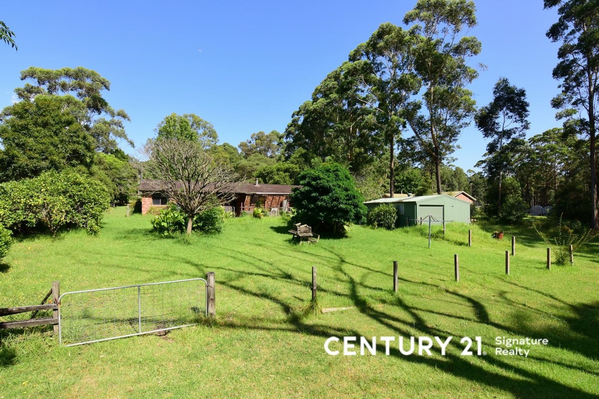 54 Battunga Drive, Tomerong, NSW, 2540, Tomerong - Thumbnail 3