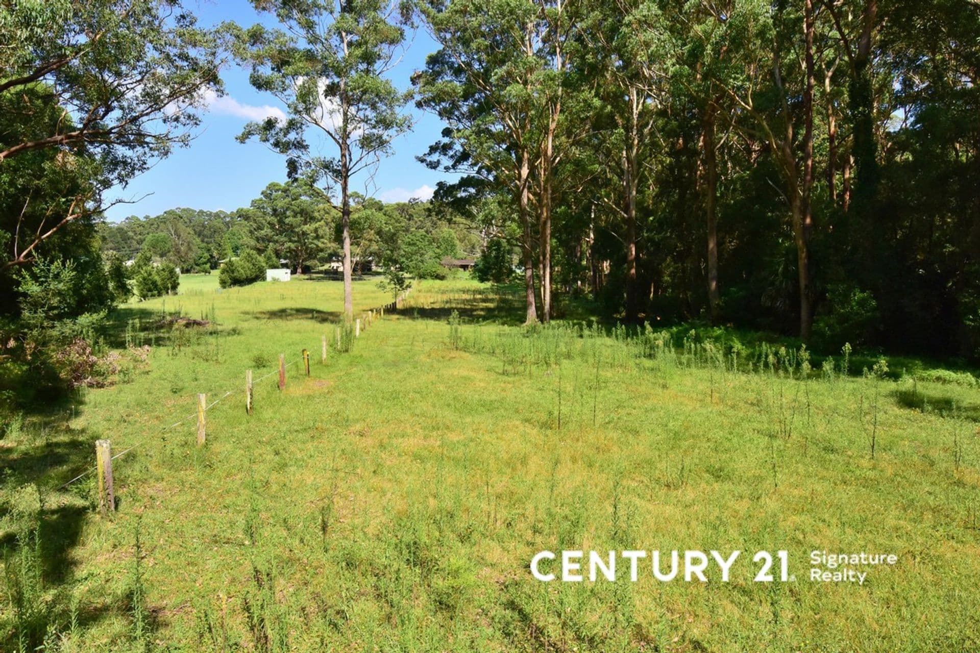 54 Battunga Drive, Tomerong, NSW, 2540, Tomerong - Thumbnail 4