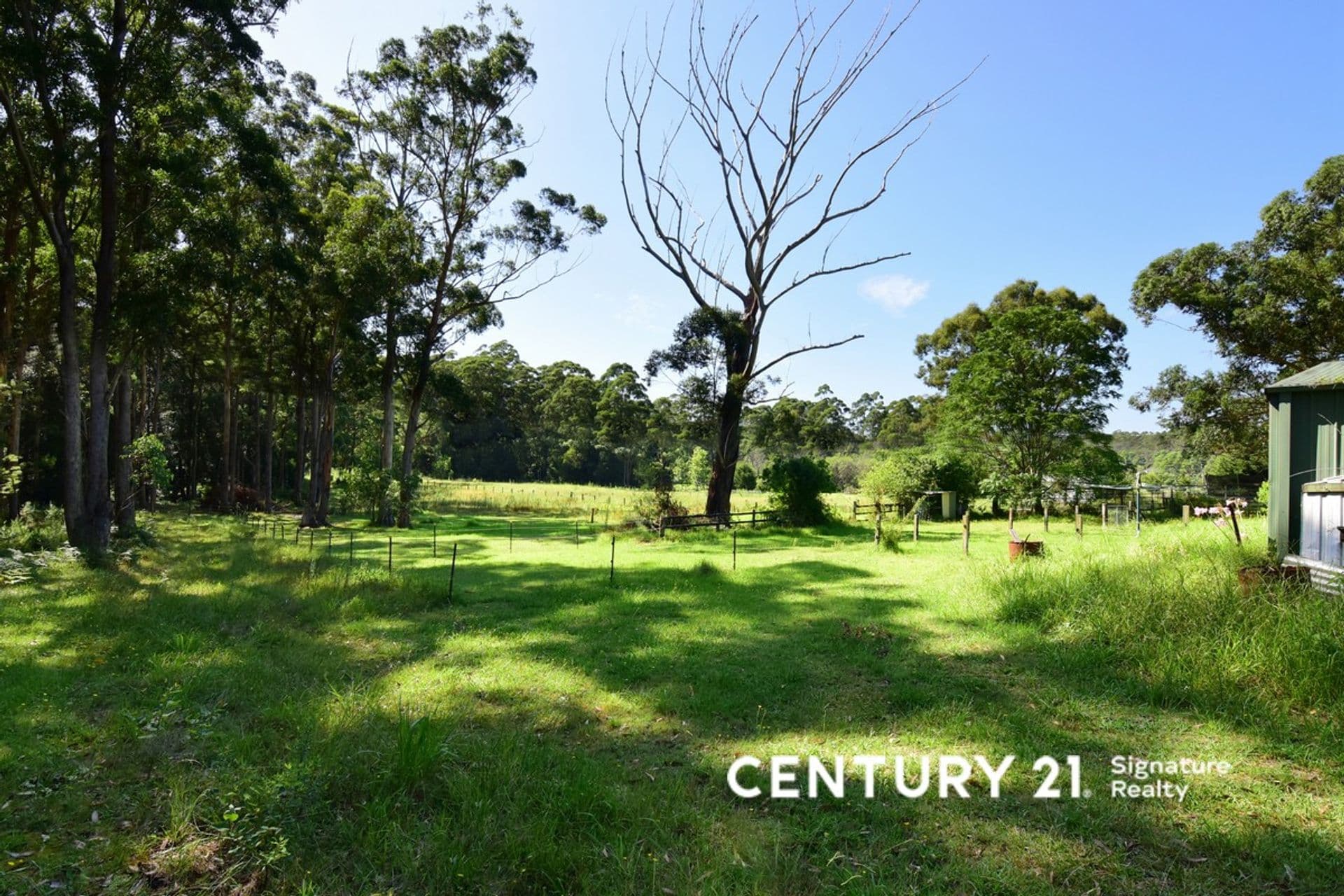 54 Battunga Drive, Tomerong, NSW, 2540, Tomerong - Thumbnail 5