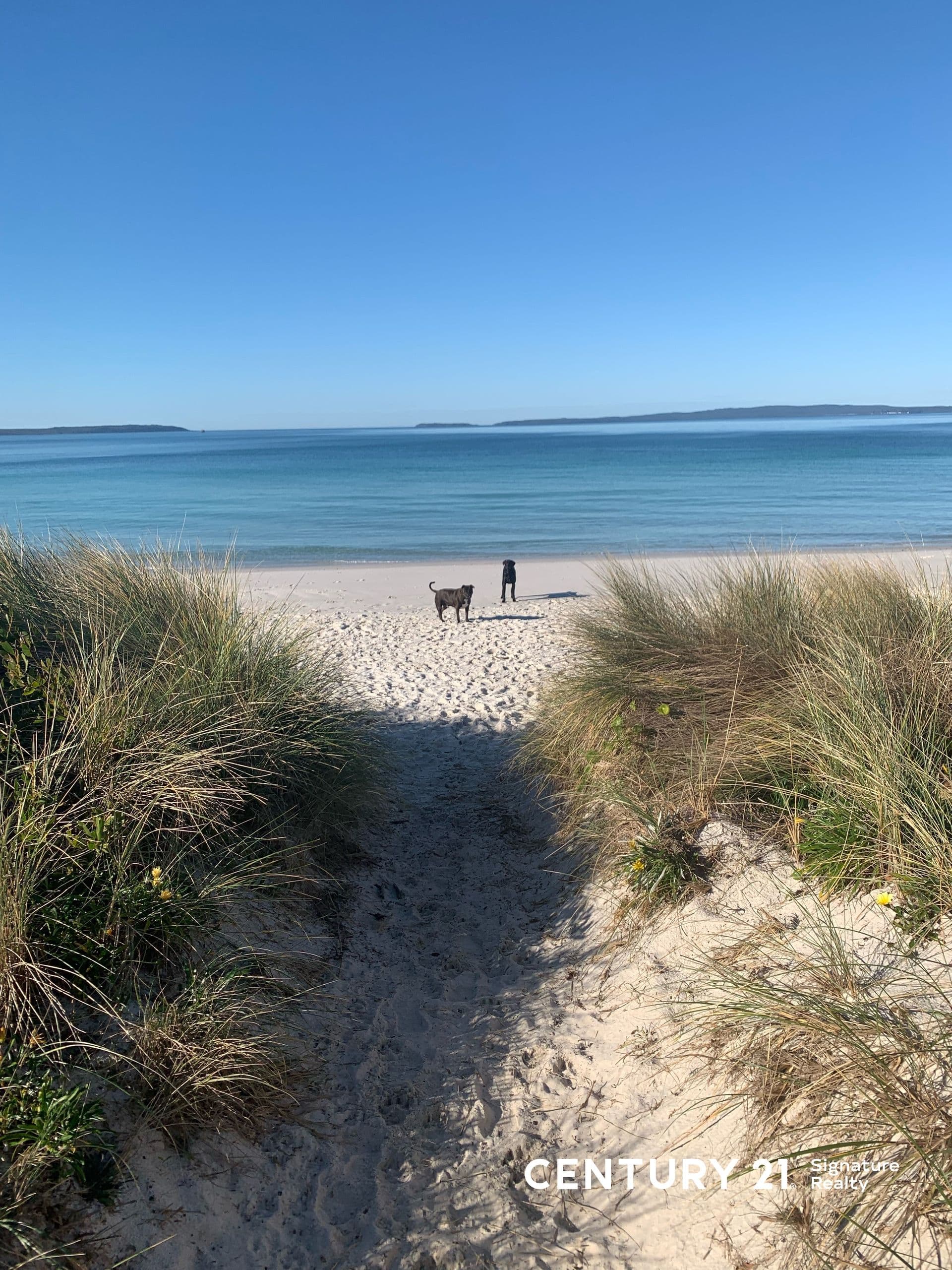 48 Greenway Road, Callala Beach, NSW, 2540, Callala Beach - Thumbnail 8