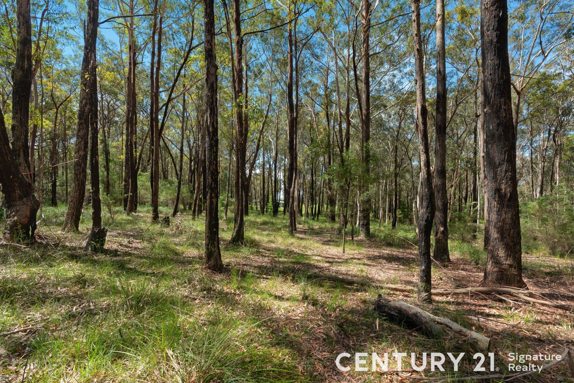 100A Woollamia Rd, Woollamia, NSW, 2540, Woollamia - Thumbnail 6