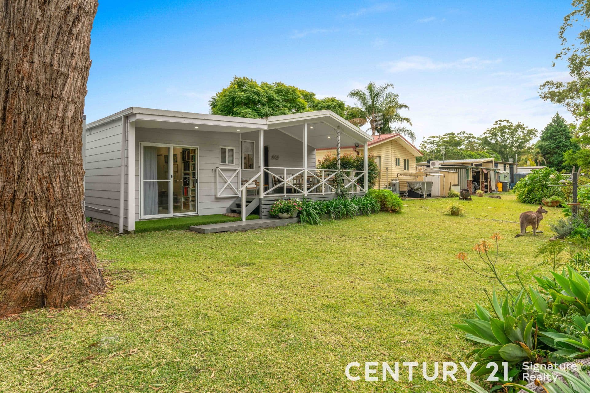12/123 Myola Rd, Myola, NSW, 2540, Myola - Thumbnail 3