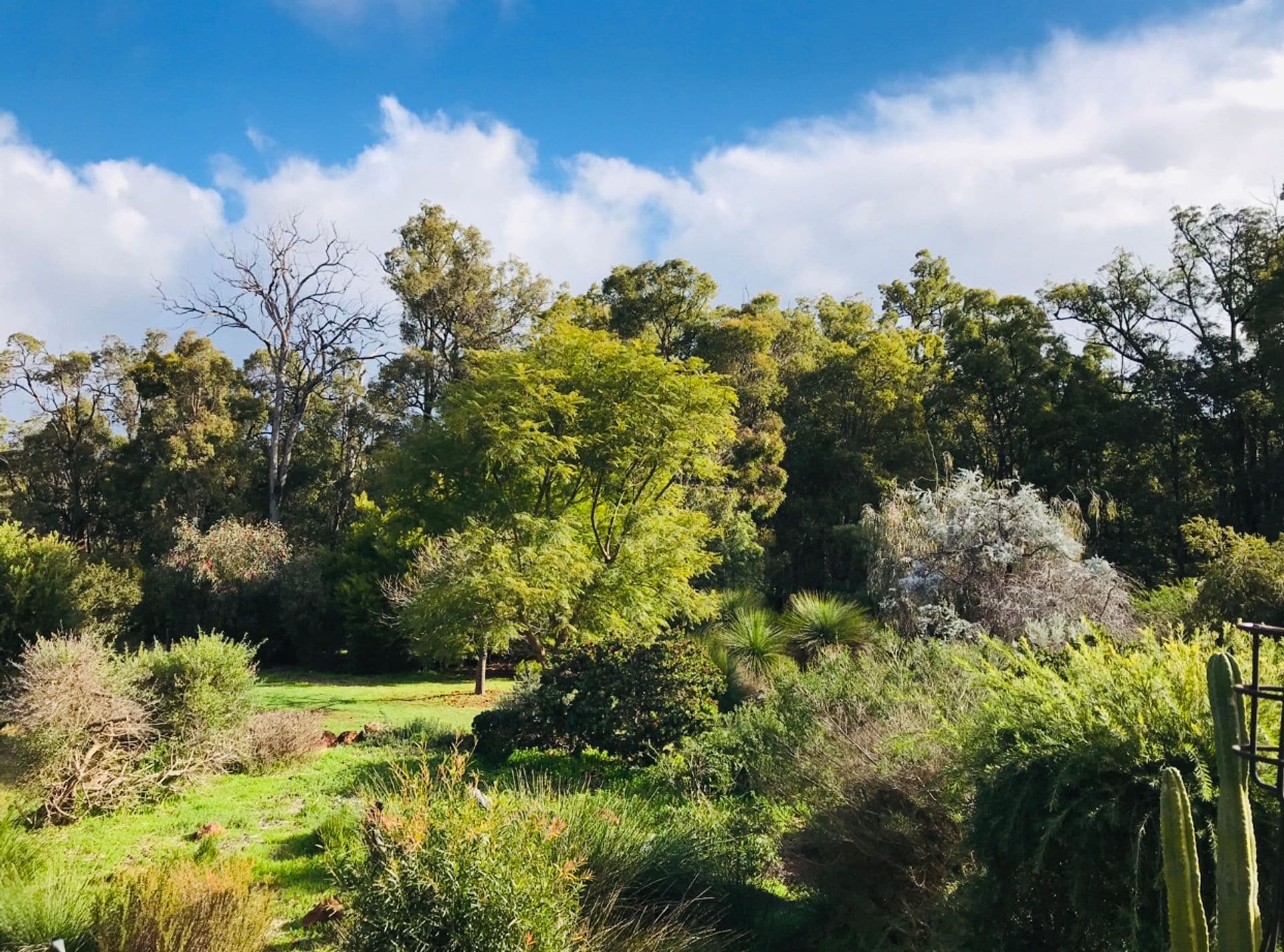 3 Chestnut Road, Jarrahdale, WA, 6124, Jarrahdale - Thumbnail 4