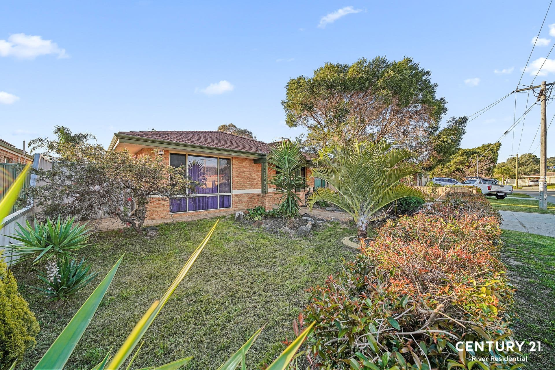 24 Parakeela Grove, Maddington, WA, 6109, Maddington - Thumbnail 5