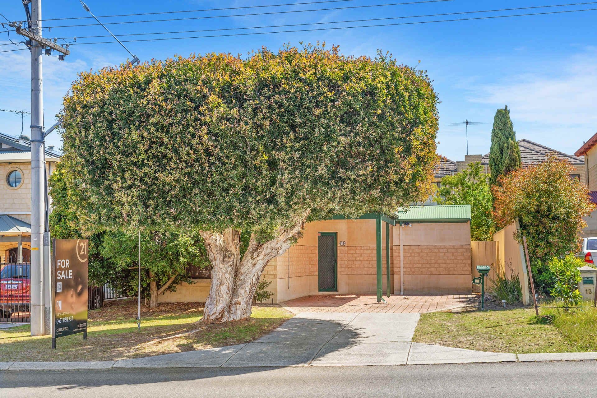 11 Lockwood Street, Yokine, WA, 6060, Yokine - Thumbnail 7