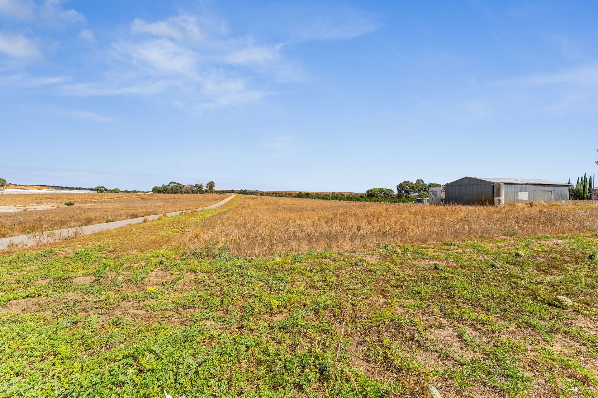 343 Wattleup Road, Hammond Park, WA, 6164, Hammond Park - Thumbnail 8